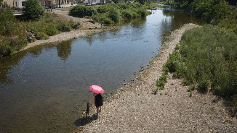 Wärmster Juni in Rheinland-Pfalz seit Aufzeichnungsbeginn
