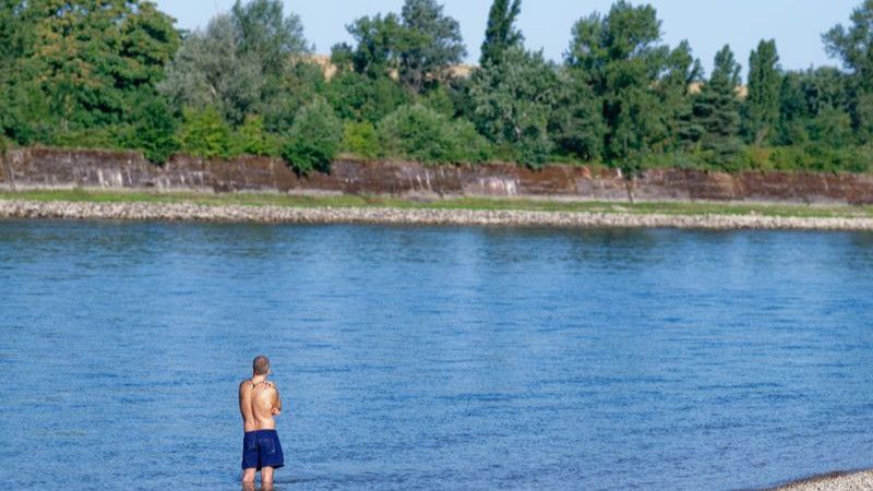 Warum Baden im Rhein auch bei Niedrigwasser gefährlich ist
