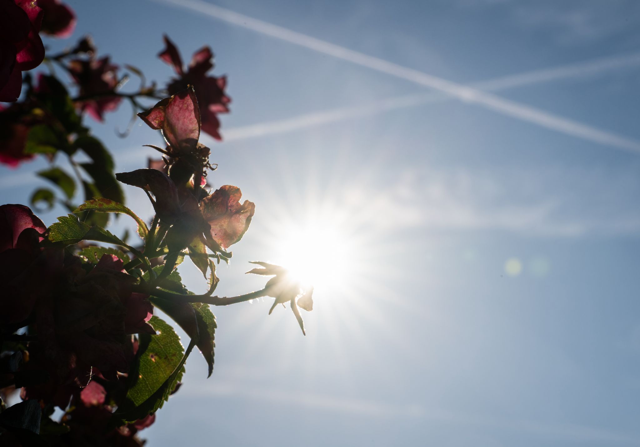 Bis zu 38 Grad erwartet: Heiße Tage und schwere Gewitter