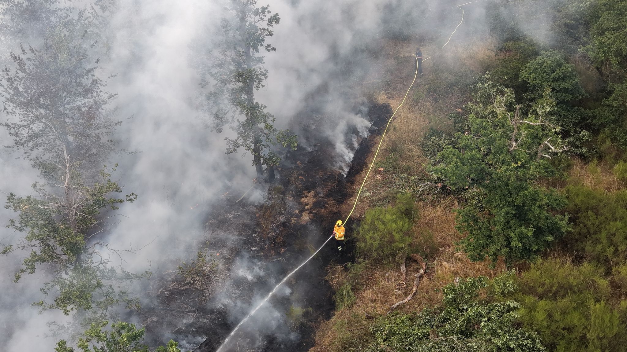 Waldbrand-Lage stabilisiert sich - Feuerwehrmann verletzt