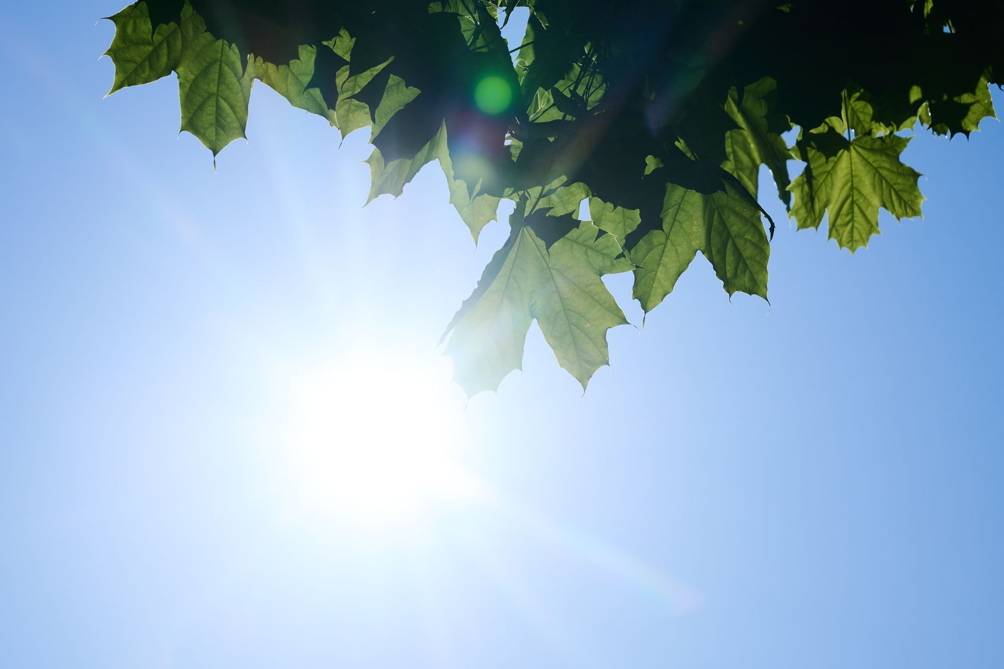 Höchsttemperaturen bis 37 Grad Höchsttemperaturen bis 37 Grad