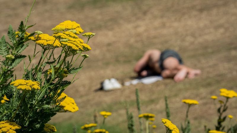 Höchsttemperaturen bis 32 Grad erwartet