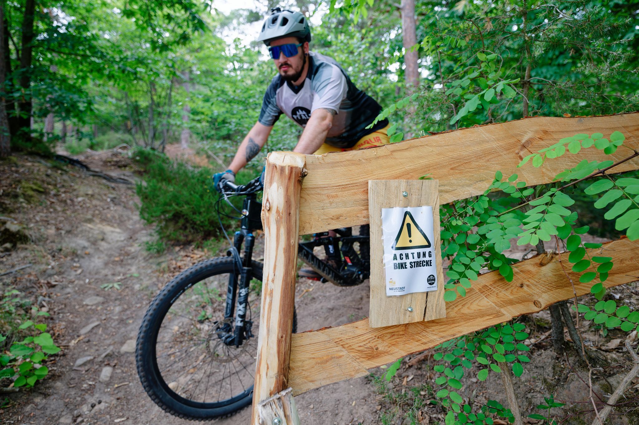 Mountainbiken im Wald: legale Trails für weniger Konflikte?