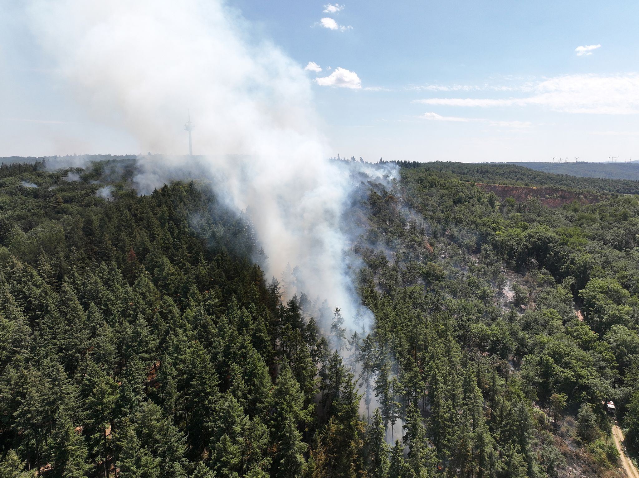 Ort wegen Waldbrands fast geräumt - Funkturm im Fokus