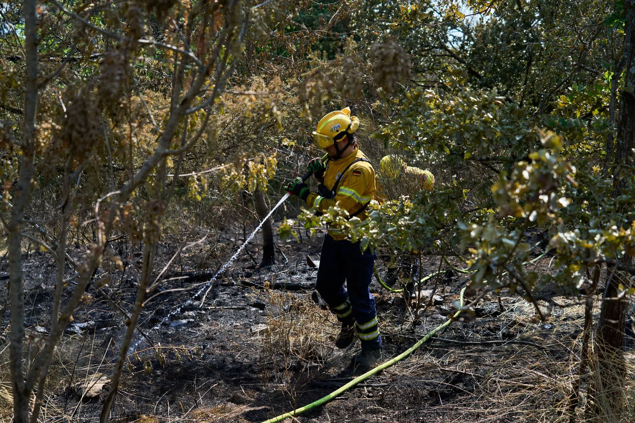 Waldbrand-Lage stabilisiert sich - Feuerwehrmann verletzt