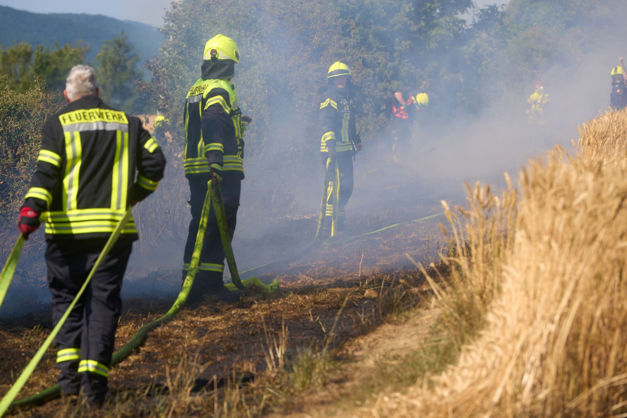 Weizenfeld brennt – Feuerwehr verhindert Ausbreitung Weizenfeld brennt – Feuerwehr verhindert Ausbreitung