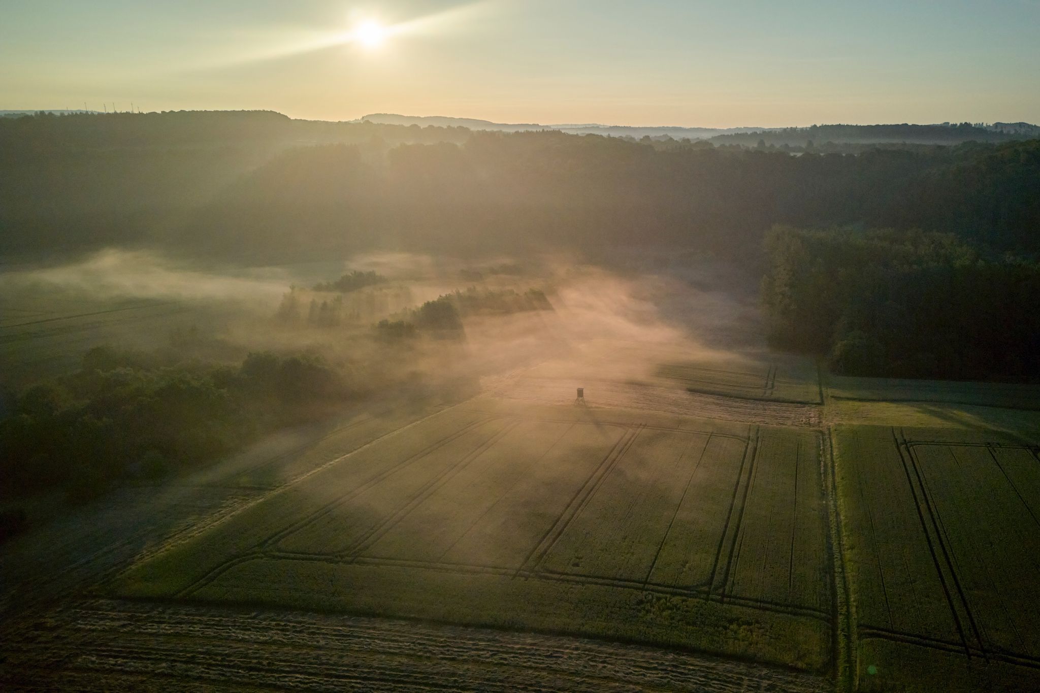 Vier Wanderwege aus Rheinland-Pfalz ausgezeichnet