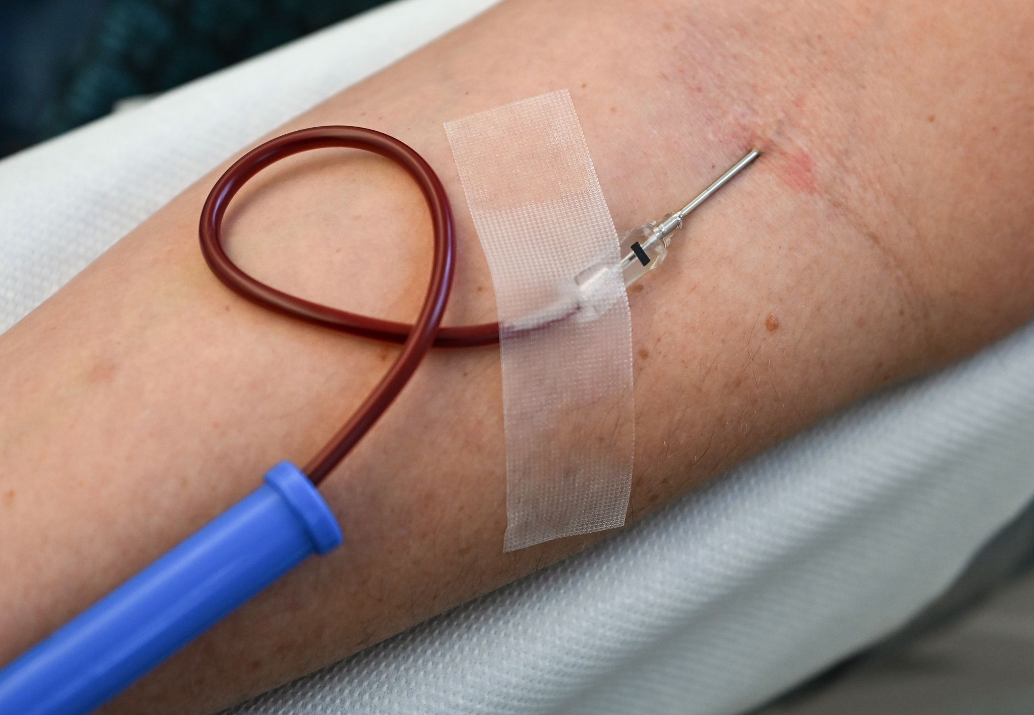 Mangel an Blutspenden – Appell der Mainzer Unimedizin