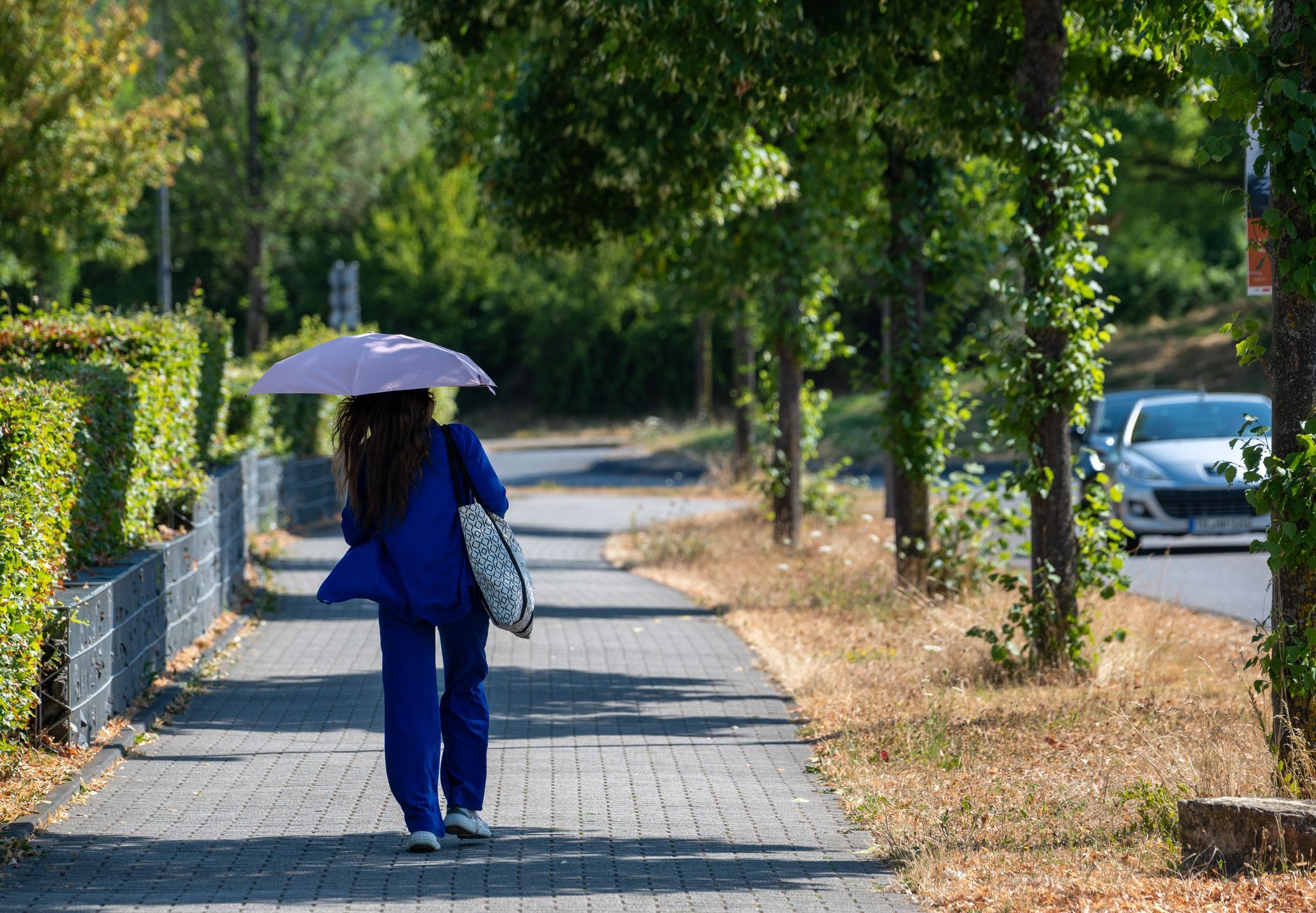 Bis zu 39 Grad erwartet – Tropennächte und Gewitter möglich