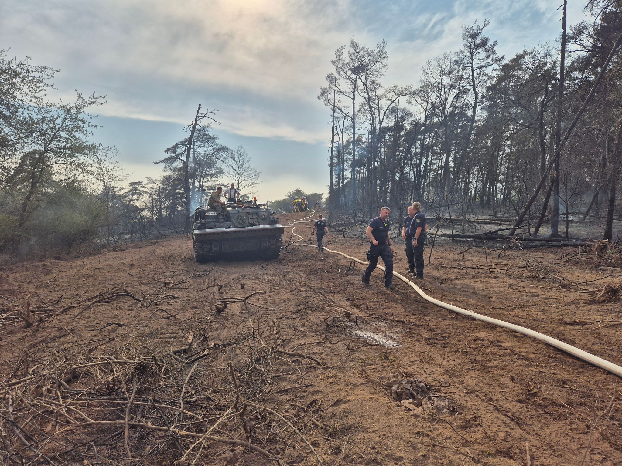 Waldbrand von Auto ausgelöst? Panzer im Einsatz
