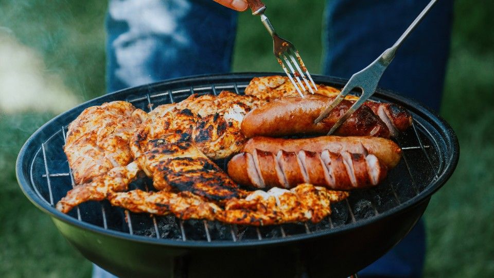 Sommerzeit ist Keimzeit Sommerzeit ist Keimzeit
