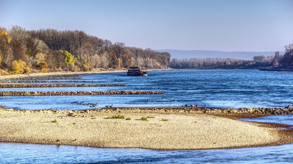 Niedrigwasser macht den Rhein zur unterschätzten Gefahr