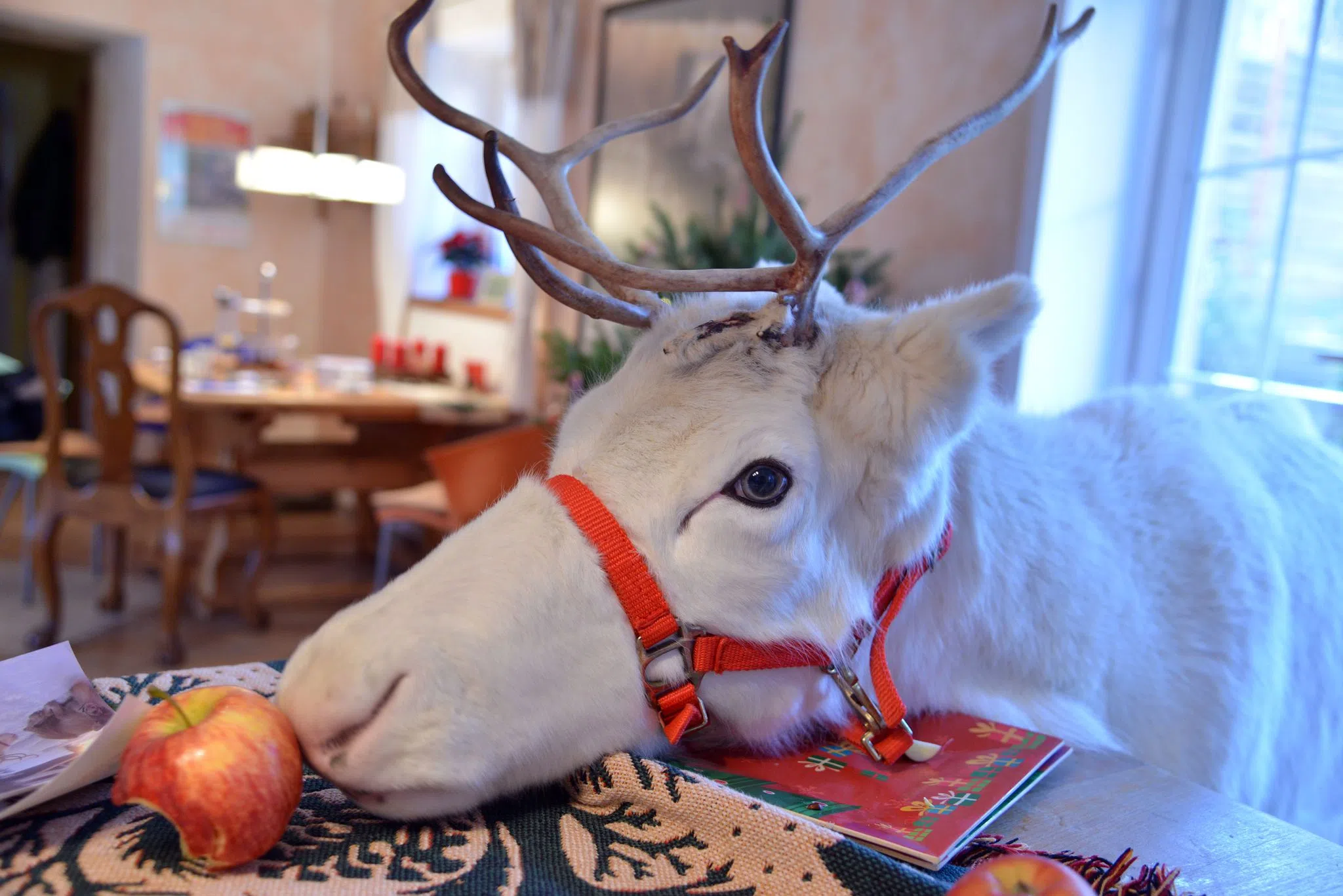 Wer denkt jetzt schon an Weihnachten?