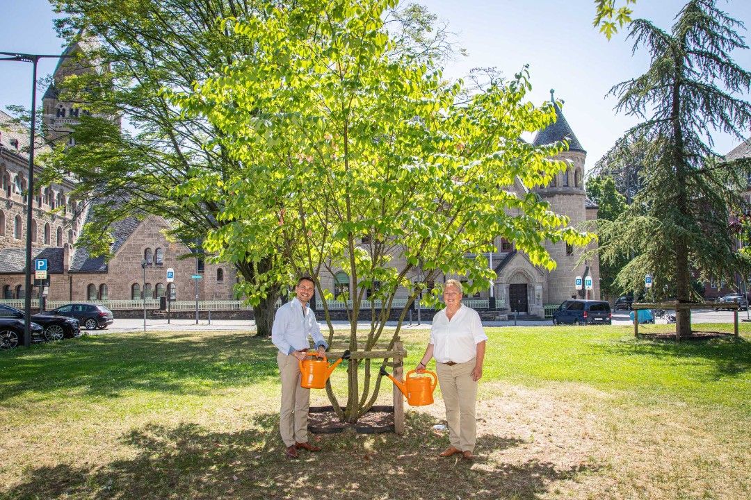 Kirschbaum erinnert zukünftig an Wirken von Ulrike Mohrs