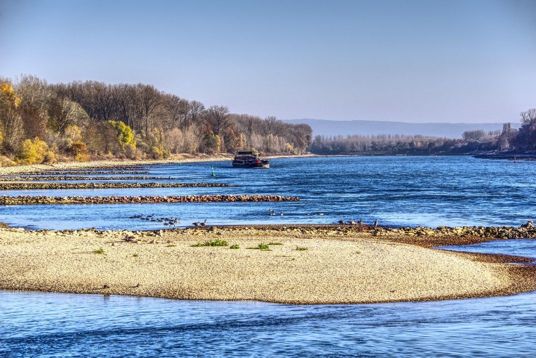 Niedrigwasser macht den Rhein zur unterschätzten Gefahr