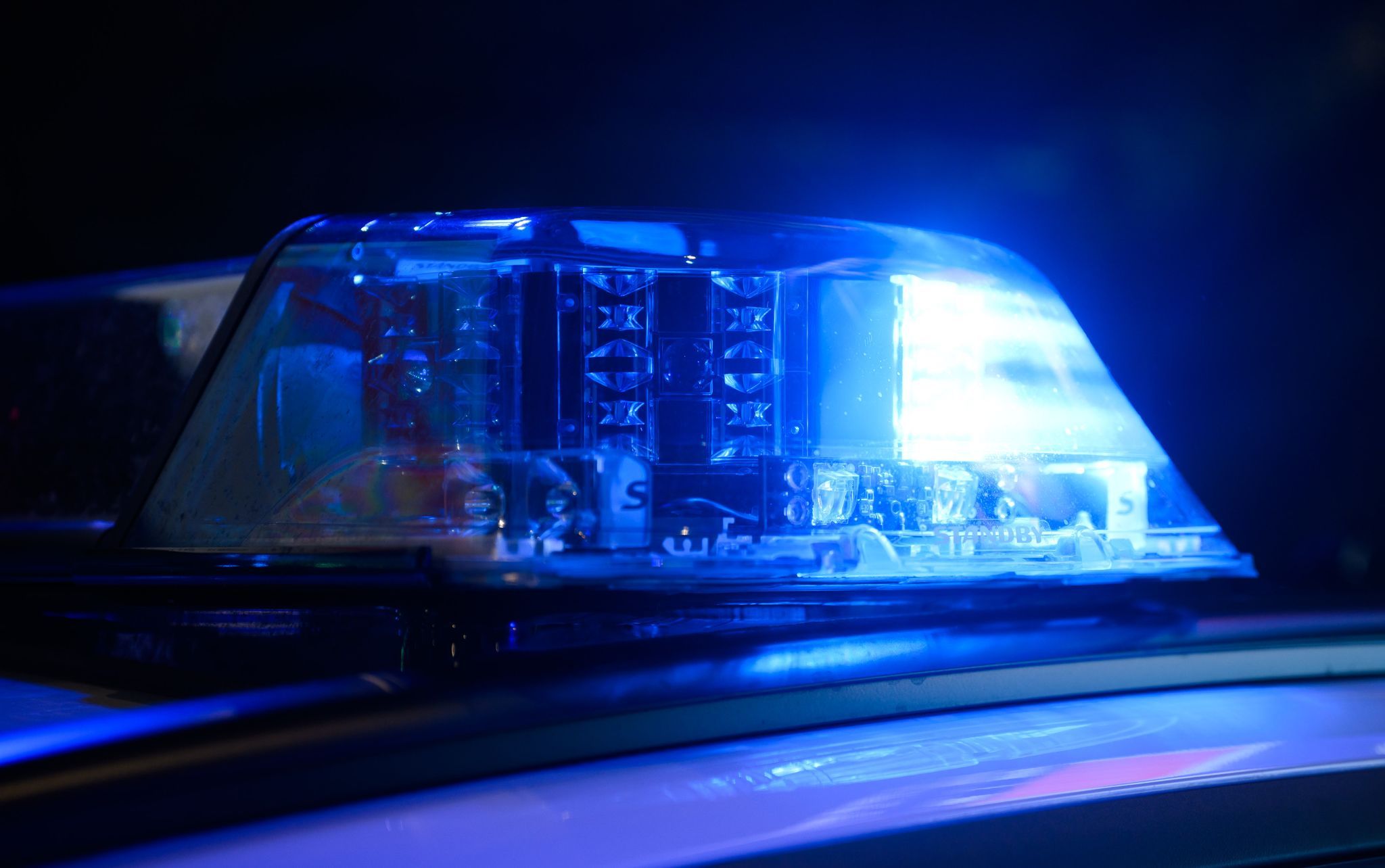 Hund verirrt sich in Trier – Polizei sorgt für Happy End