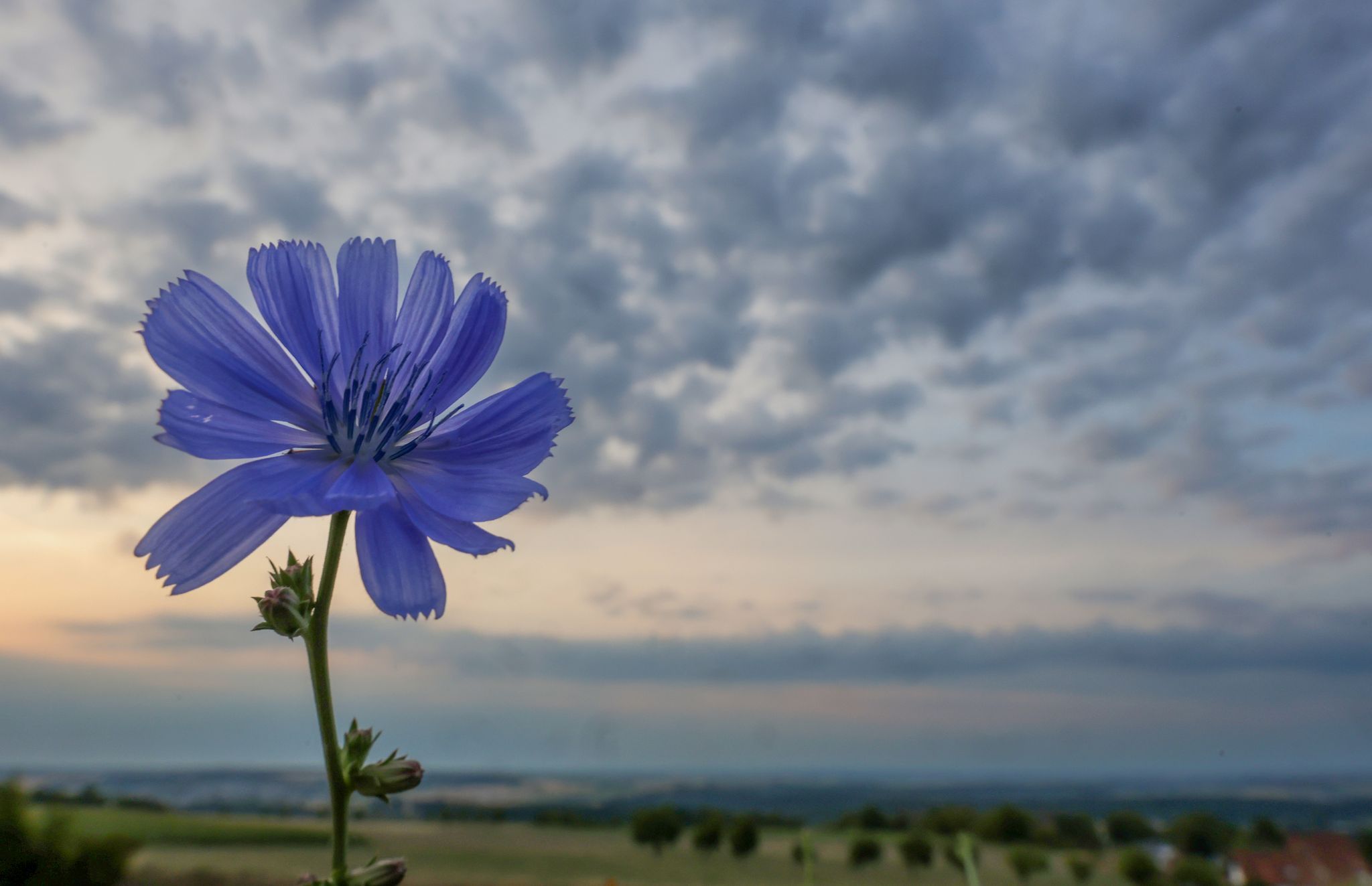 Wechselhaftes Wetter ohne extreme Sommertemperaturen