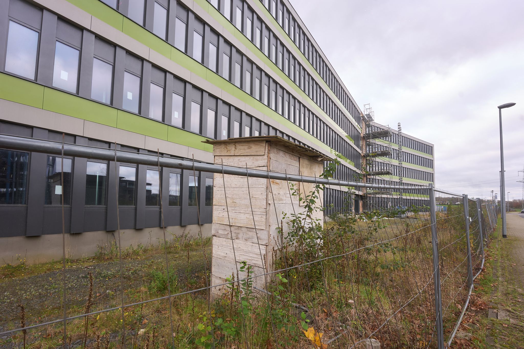 Wie sich Tierseuchen 2025 in Rheinland-Pfalz ausbreiteten