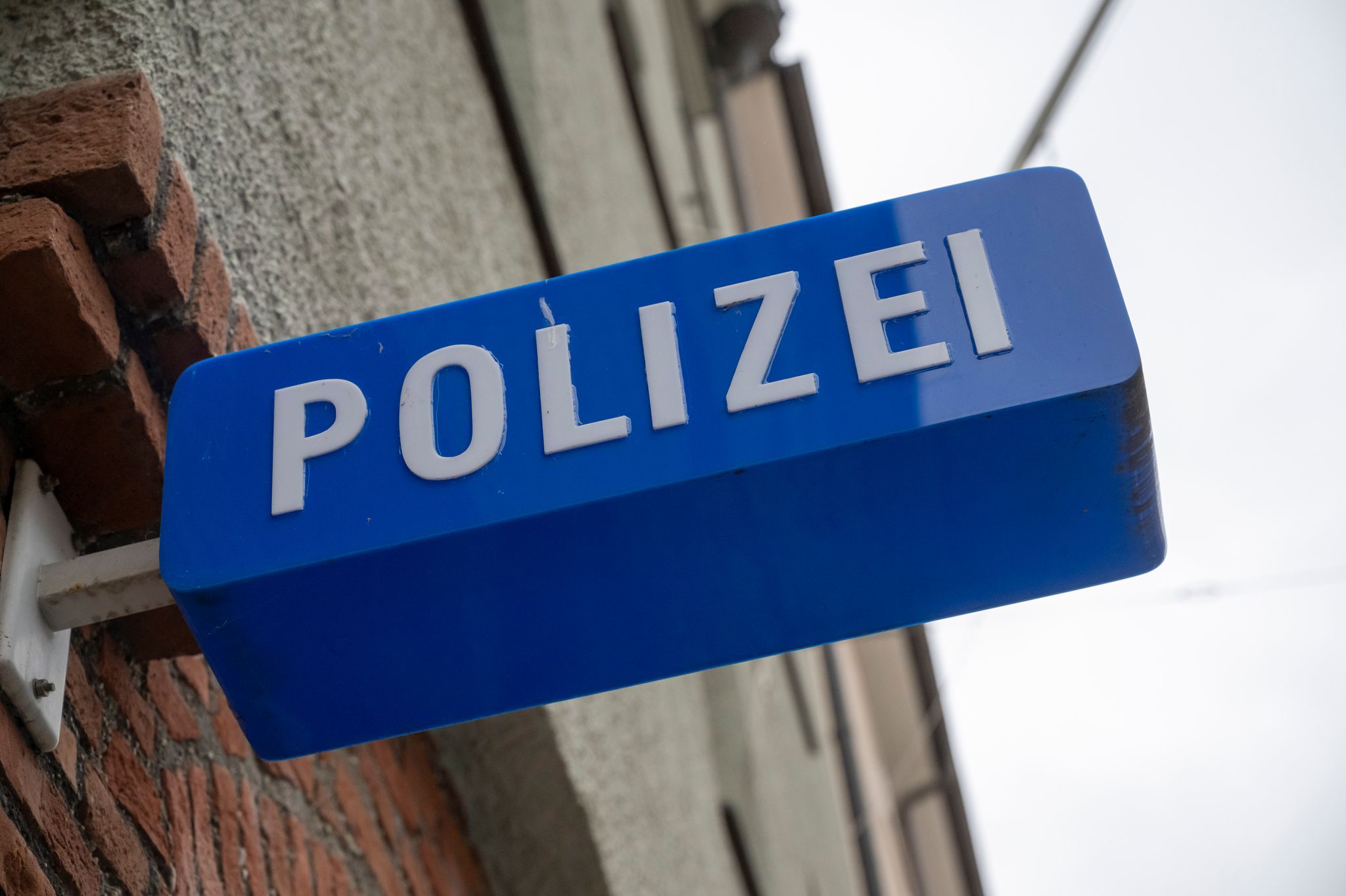 Radfahrer rettet in Schuhkarton ausgesetztes Katzenbaby Radfahrer rettet in Schuhkarton ausgesetztes Katzenbaby