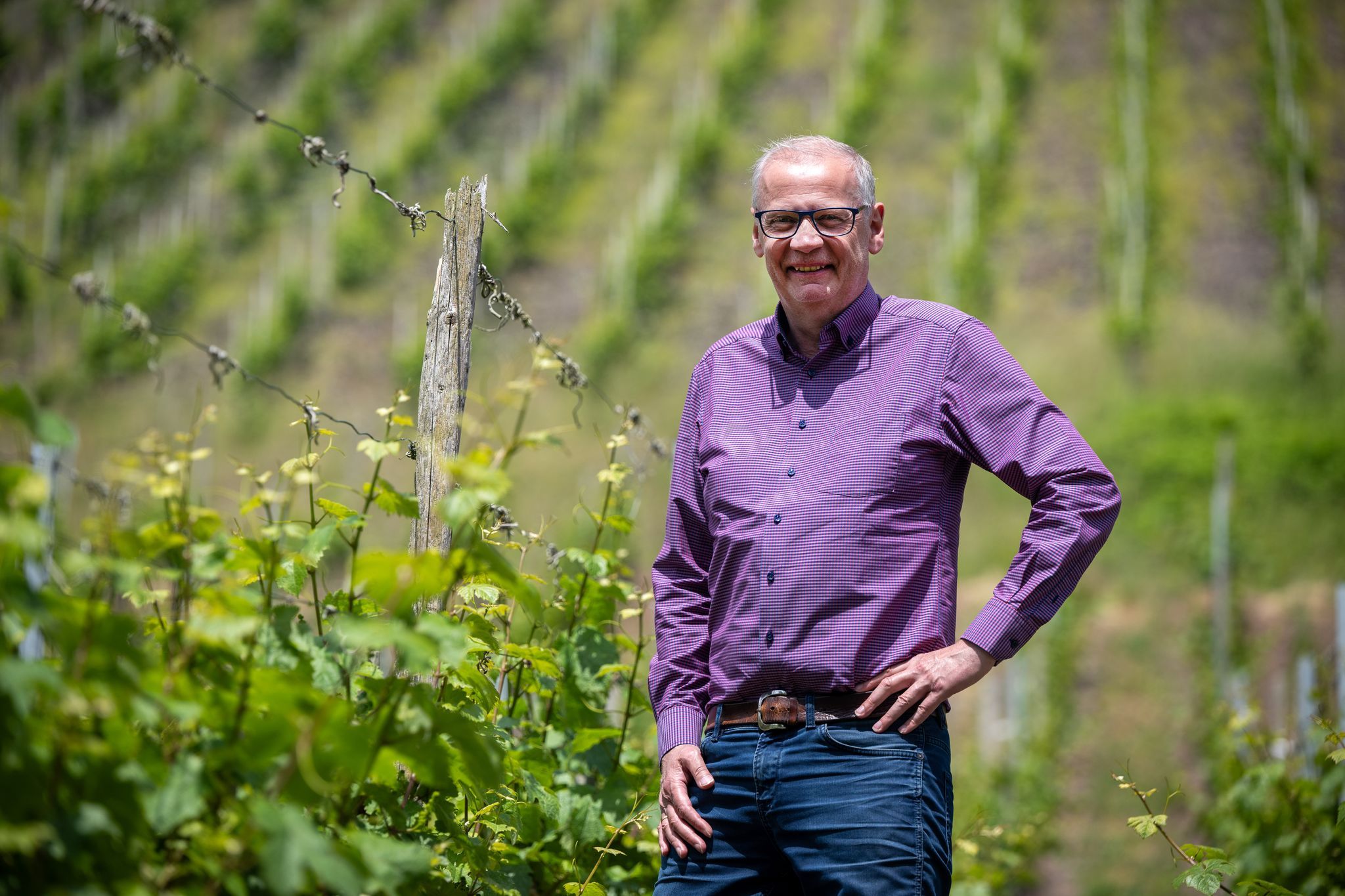 Auch TV-Moderator Günther Jauch hat ein Weingut