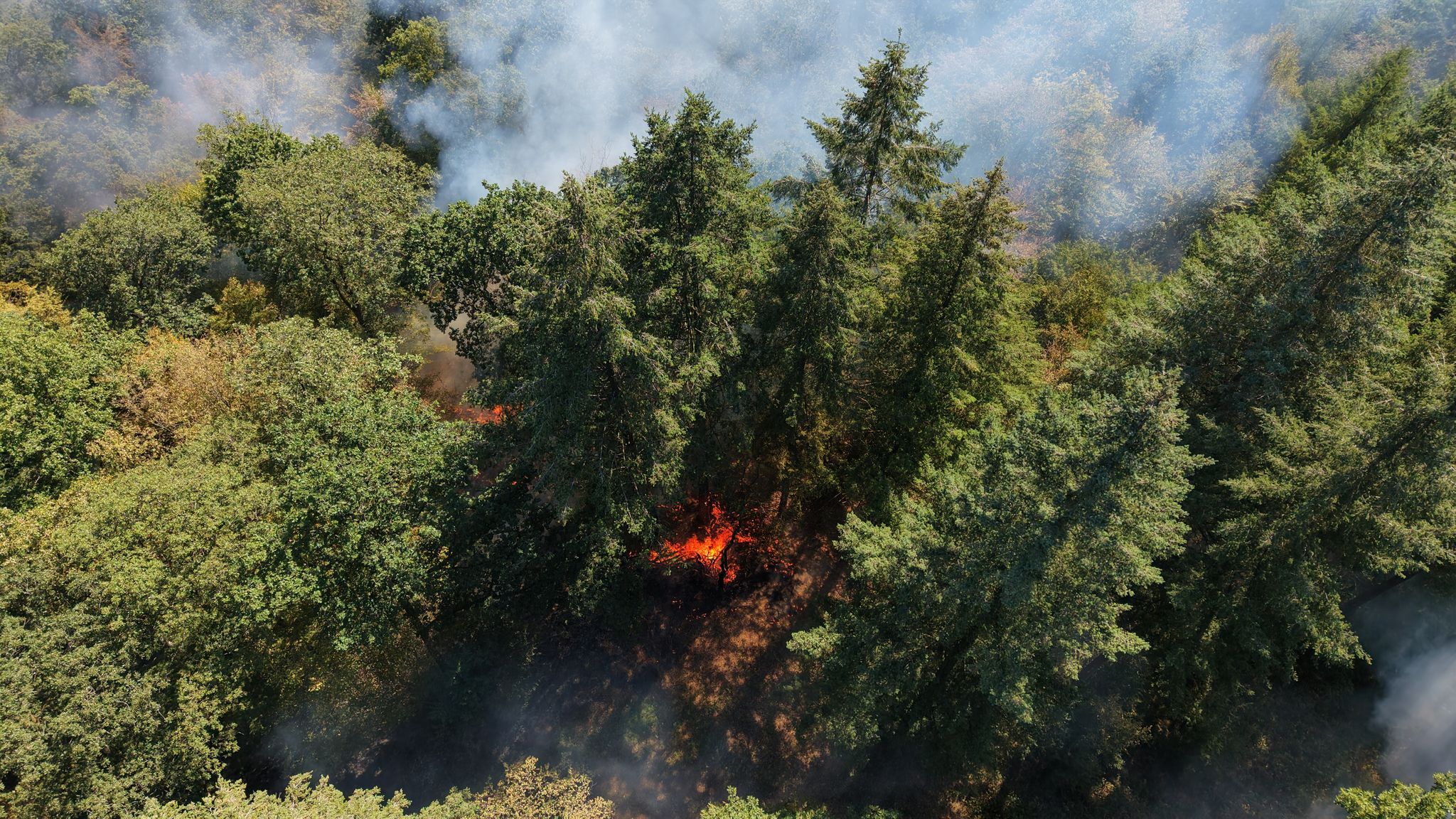 Waldbrand bei Bengel unter Kontrolle – Glutnester bleiben