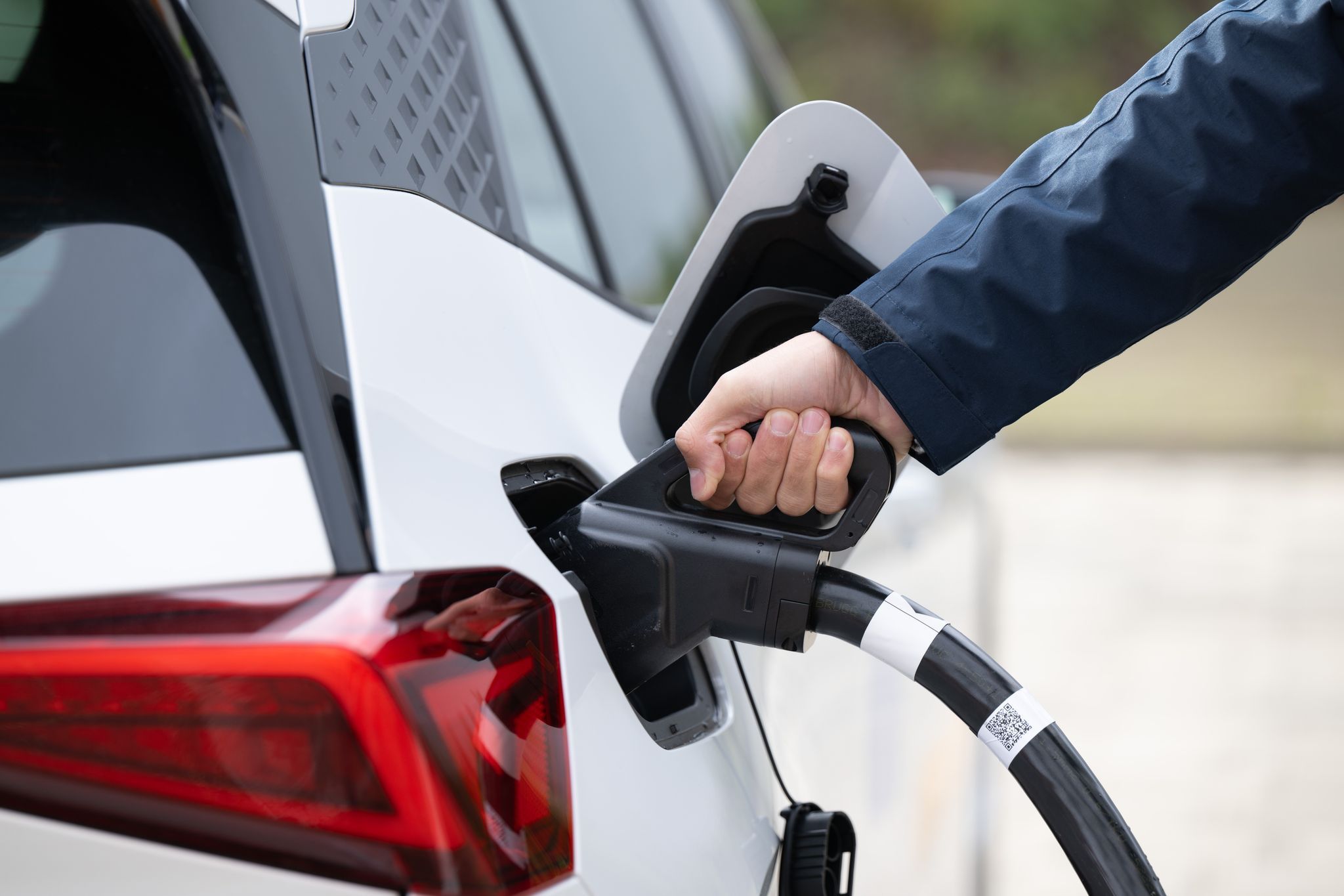 Elektroautos legen bei Neuzulassungen in Rheinland-Pfalz zu