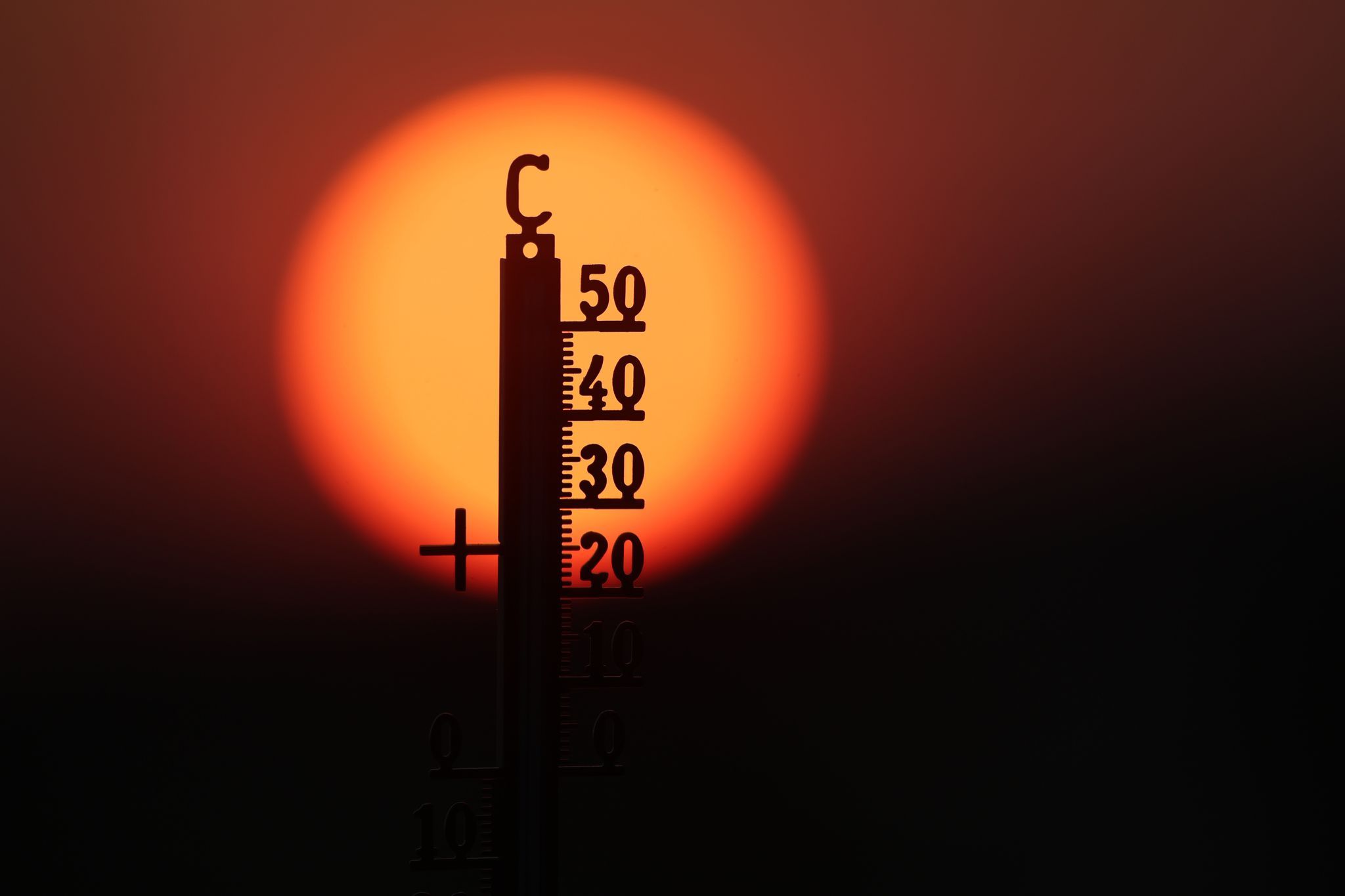 Wohl wärmster Sommer in Rheinland-Pfalz seit Aufzeichnung