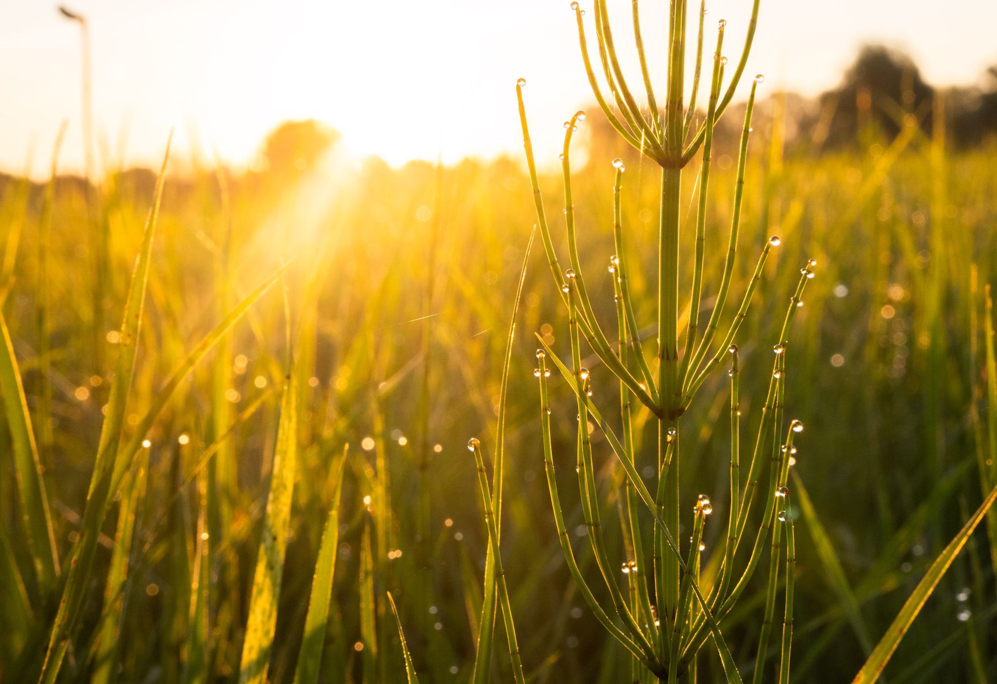 Es wird wieder sonnig - bis 27 Grad möglich