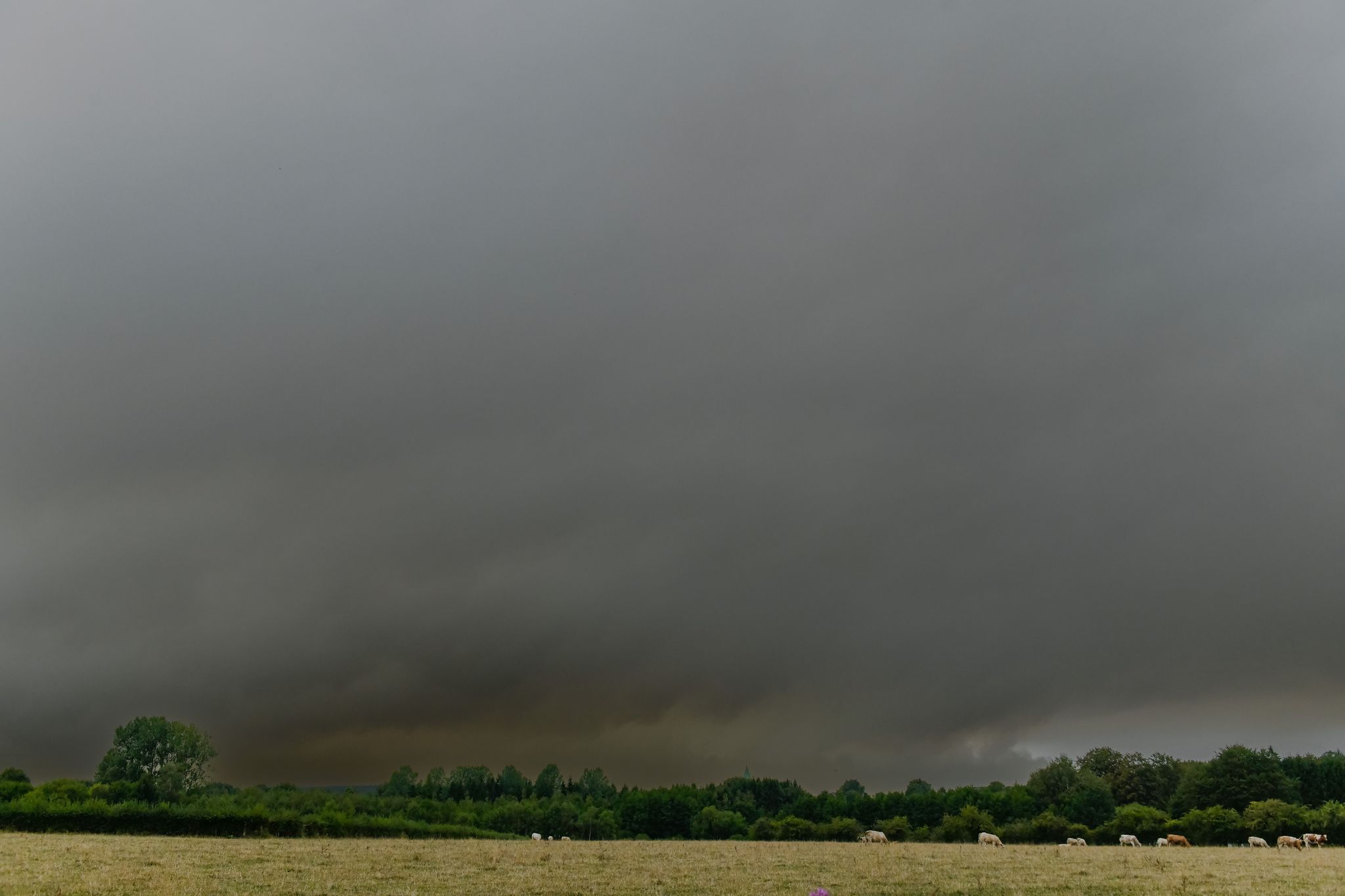 Feuerfront in Belgien schon mehr als einen Kilometer breit