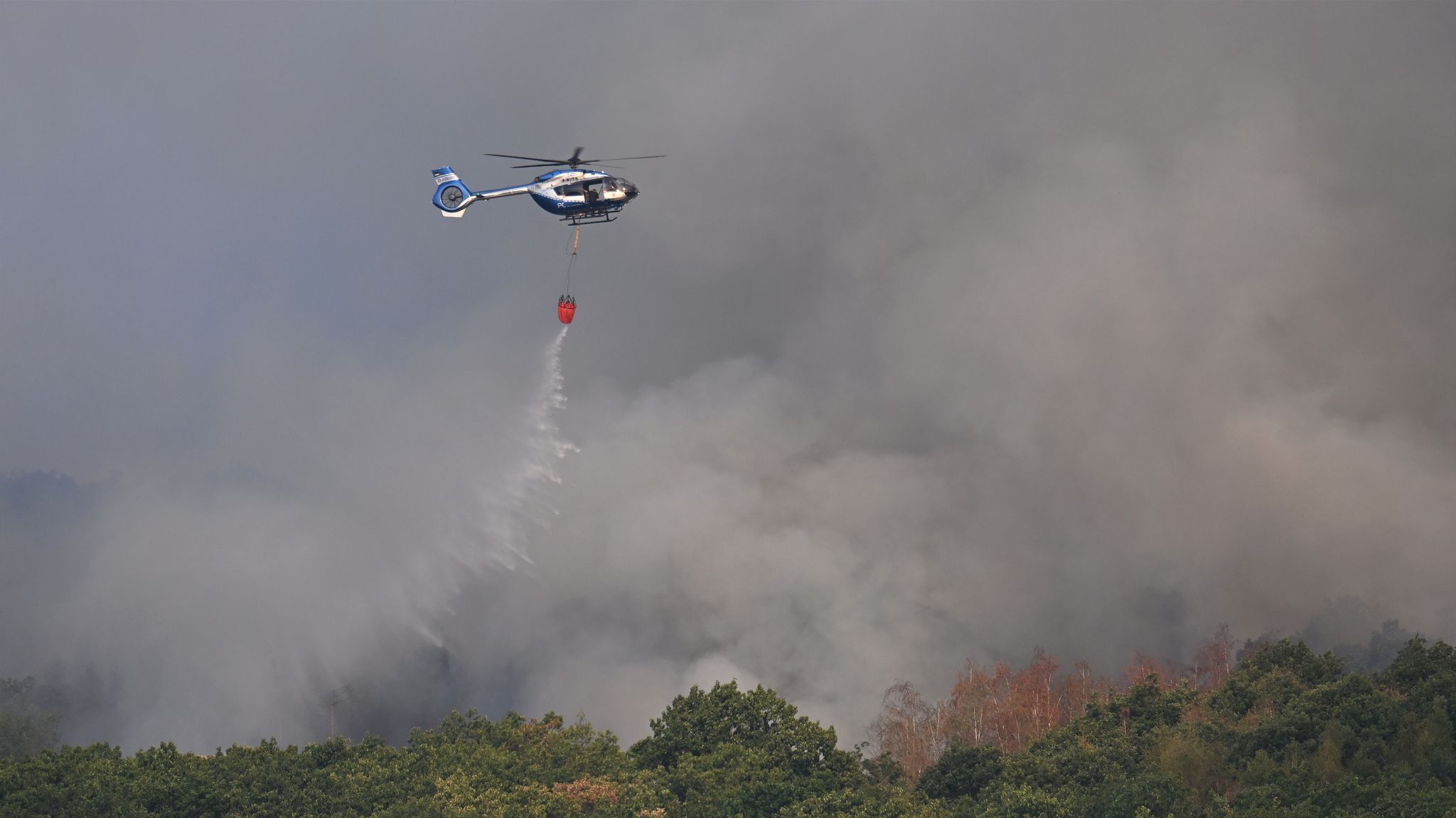 Landrat: Waldbrand im Hürtgenwald unter Kontrolle