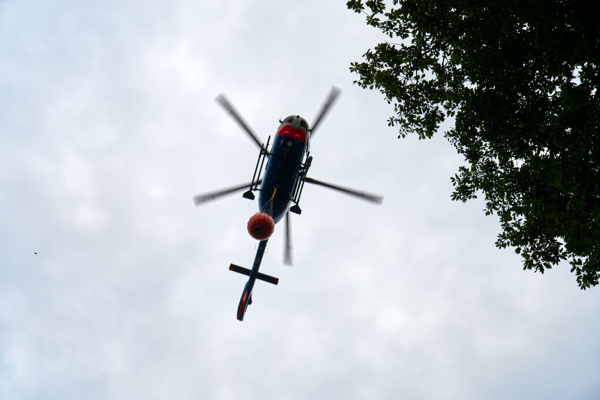 Waldbrand im Westerwald: Einsatzkräfte weiter vor Ort