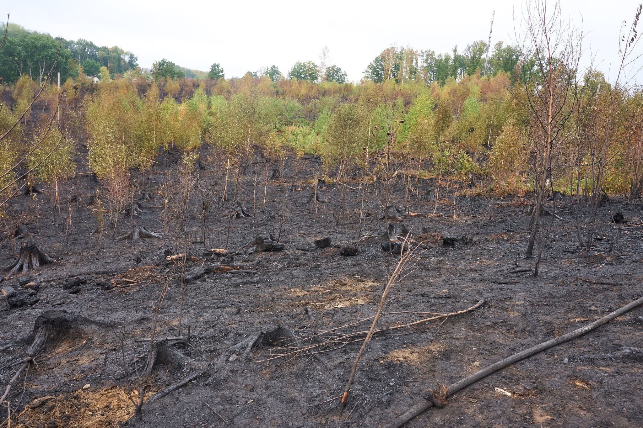 Waldbrand-Einsatz im Westerwald beendet Waldbrand-Einsatz im Westerwald beendet