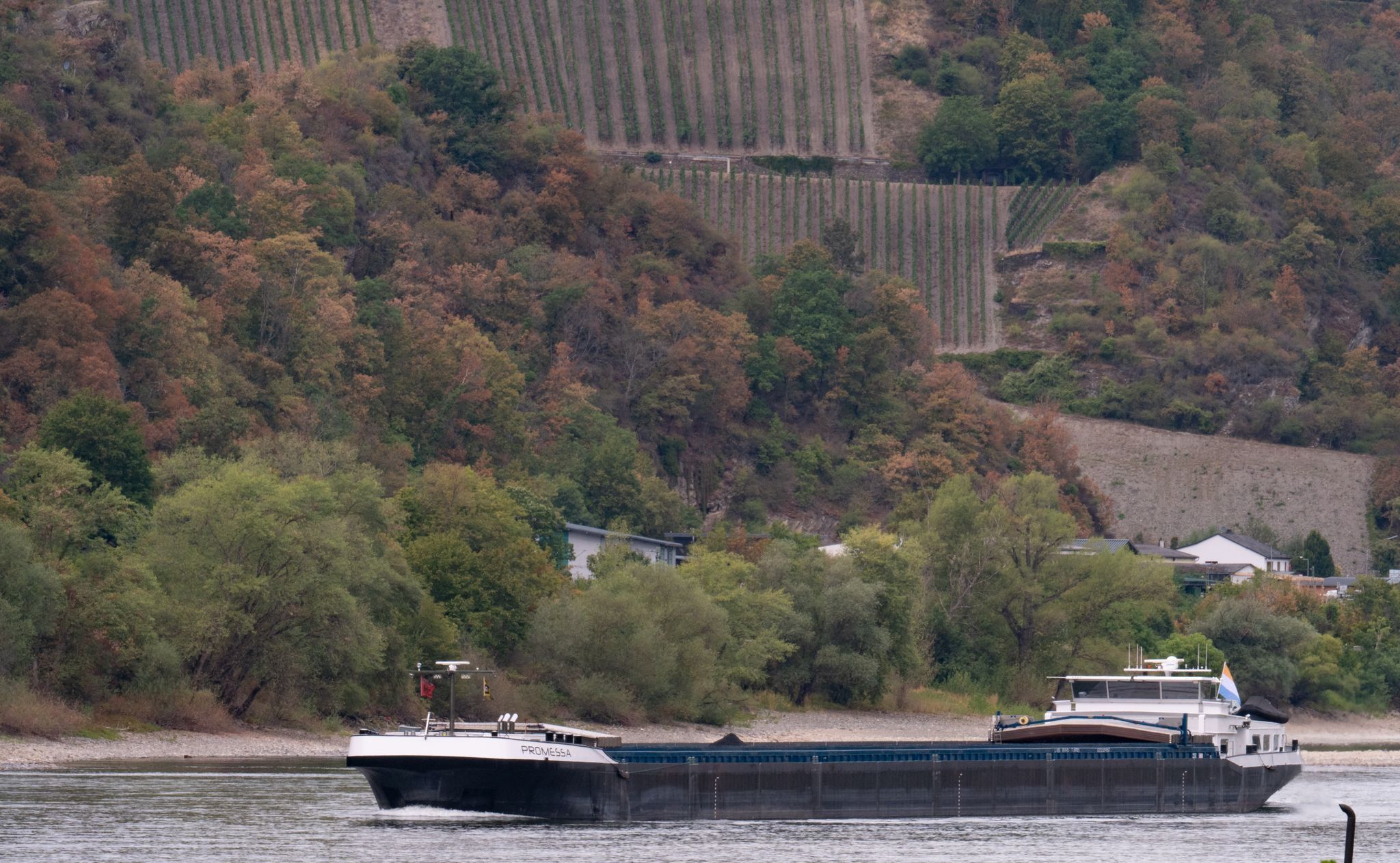 Rhein-Pegelstände steigen langsam Rhein-Pegelstände steigen langsam