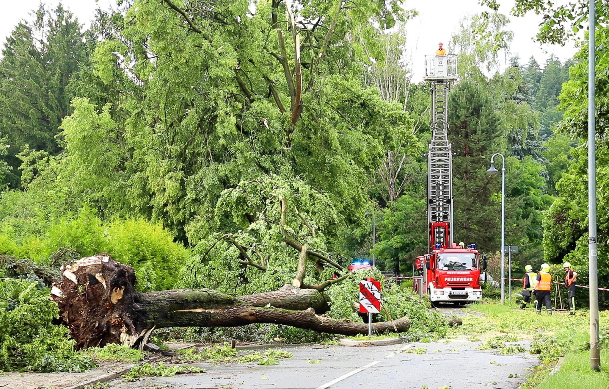 Schwere Unwetter in Rheinland-Pfalz - Schäden und Verletzte