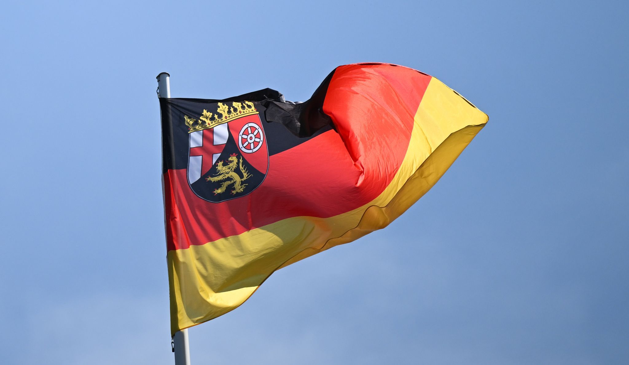 Umfrage: CDU in Rheinland-Pfalz vorne, AfD legt deutlich zu
