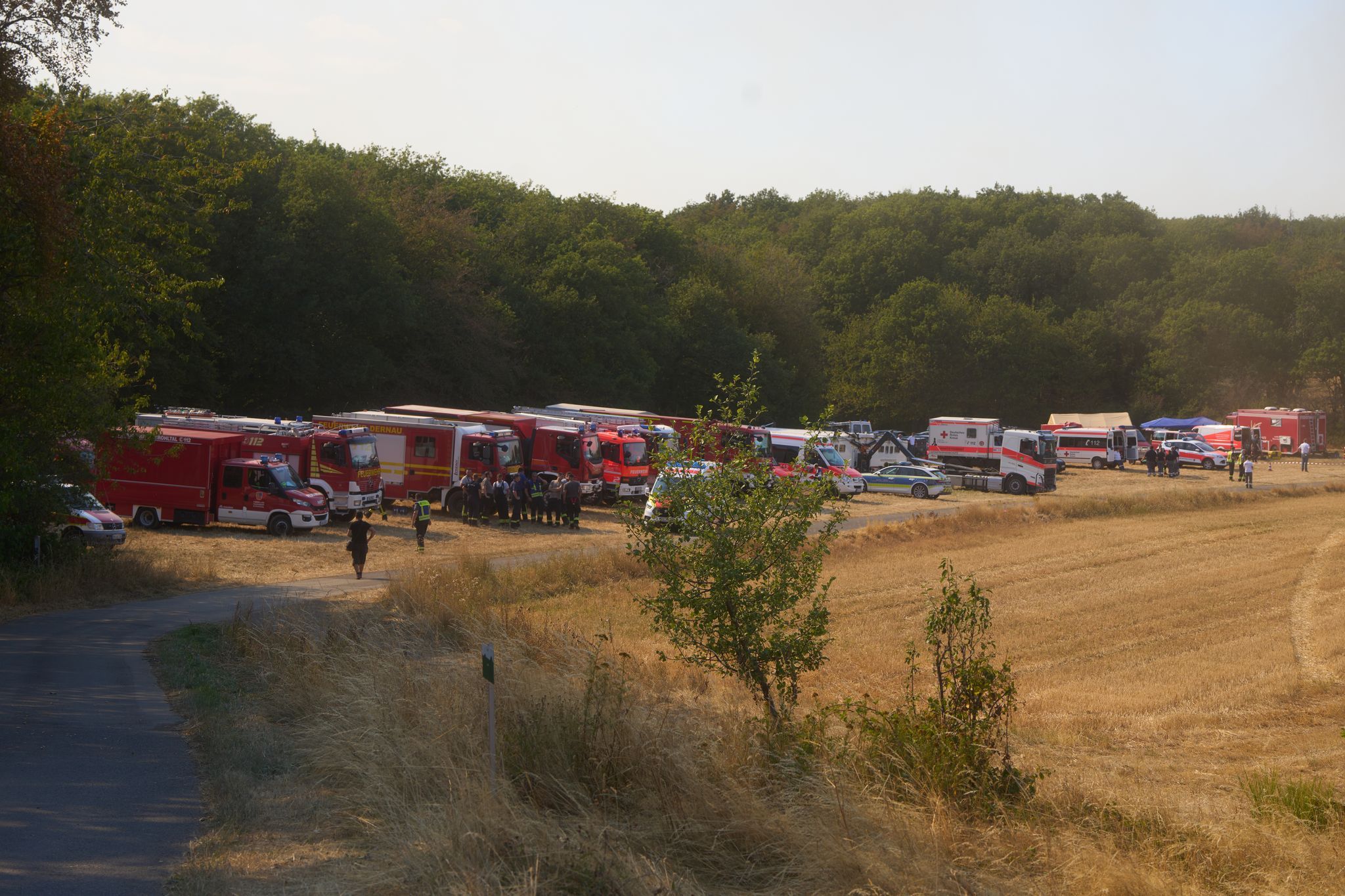 Wald- und Wiesenbrand bei Langscheid unter Kontrolle Wald- und Wiesenbrand bei Langscheid unter Kontrolle