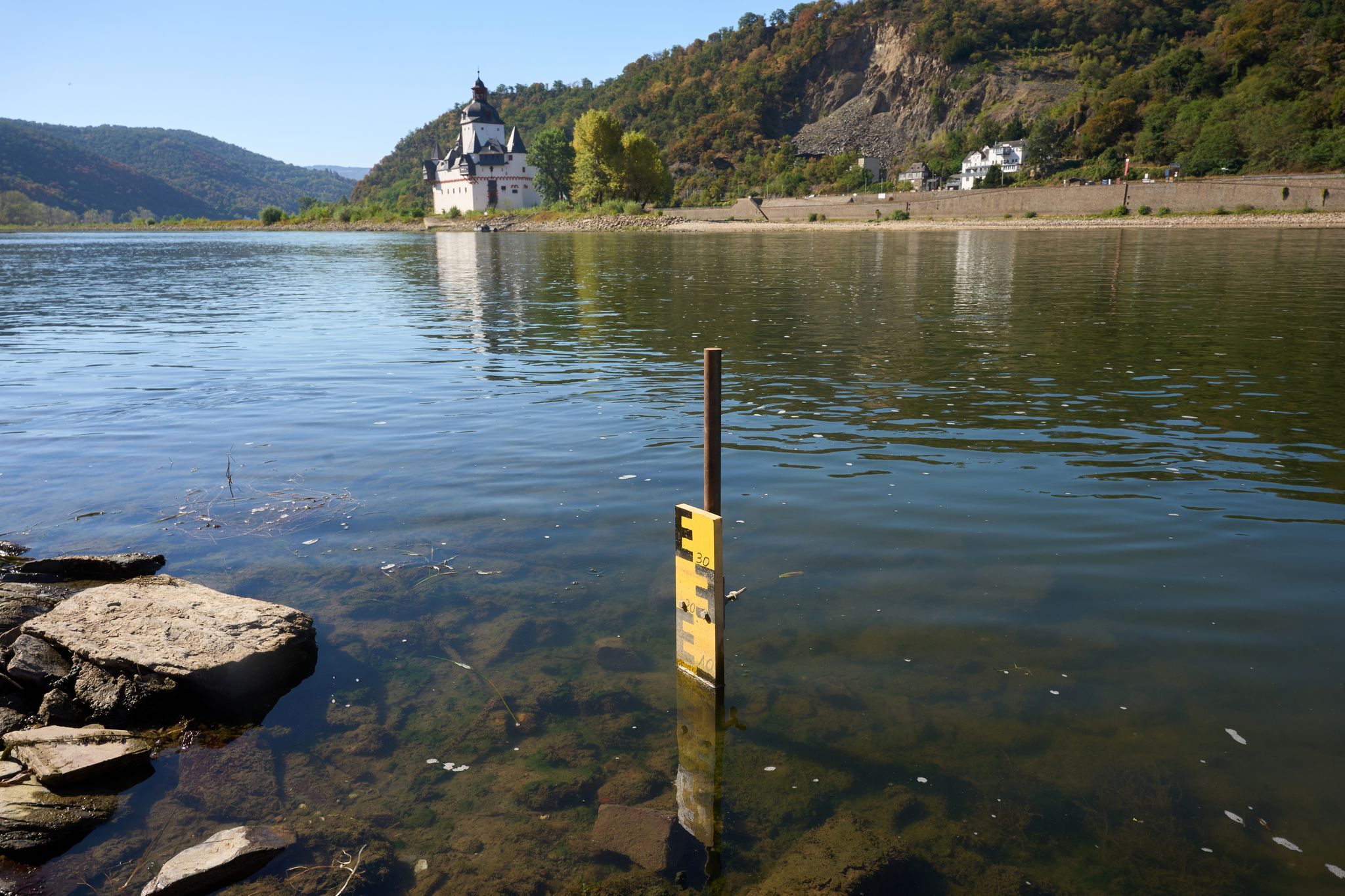 Nach Regen leicht steigender Wasserstand im Rhein