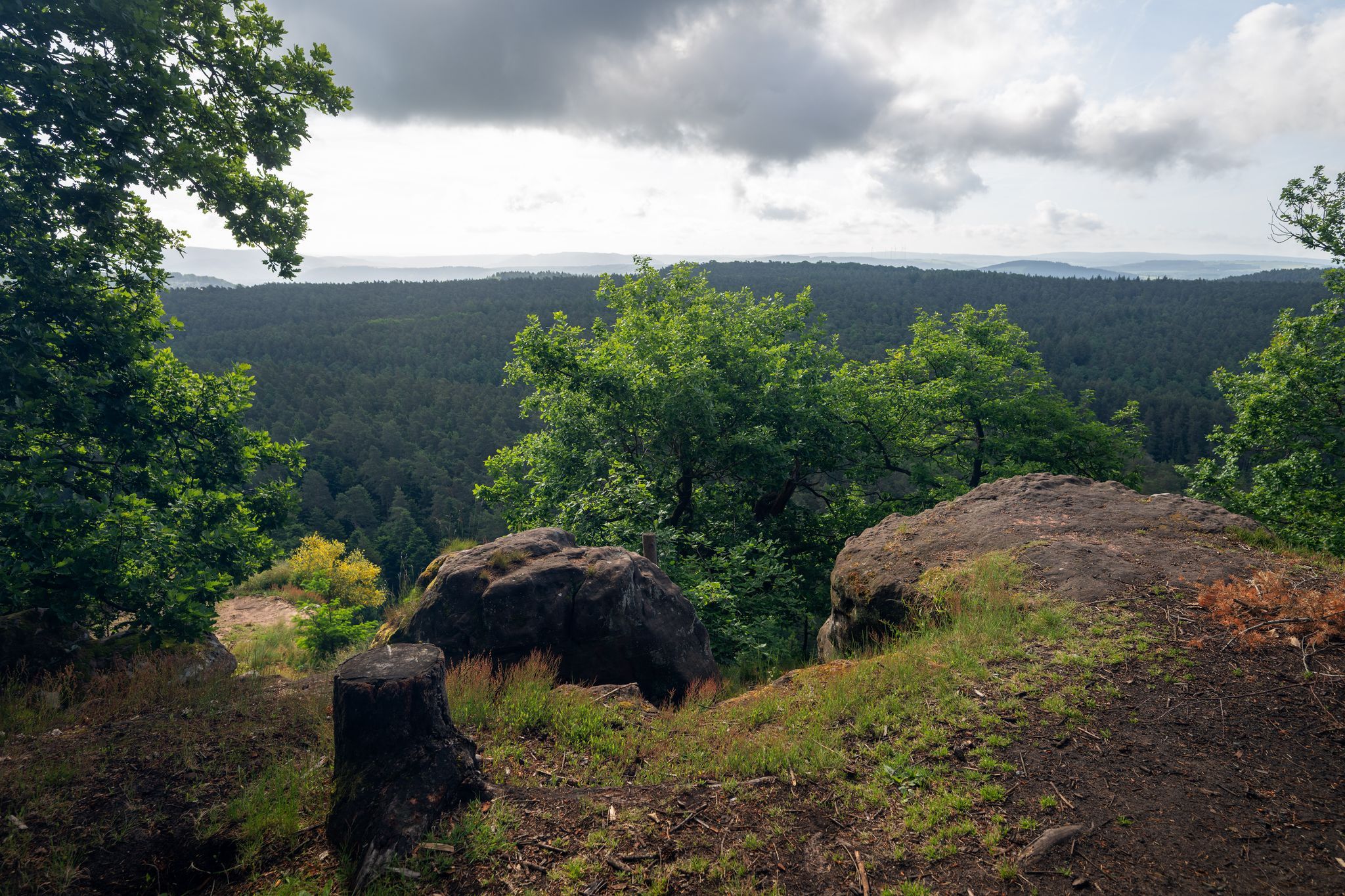 Wolken und Schauer in Rheinland-Pfalz und im Saarland
