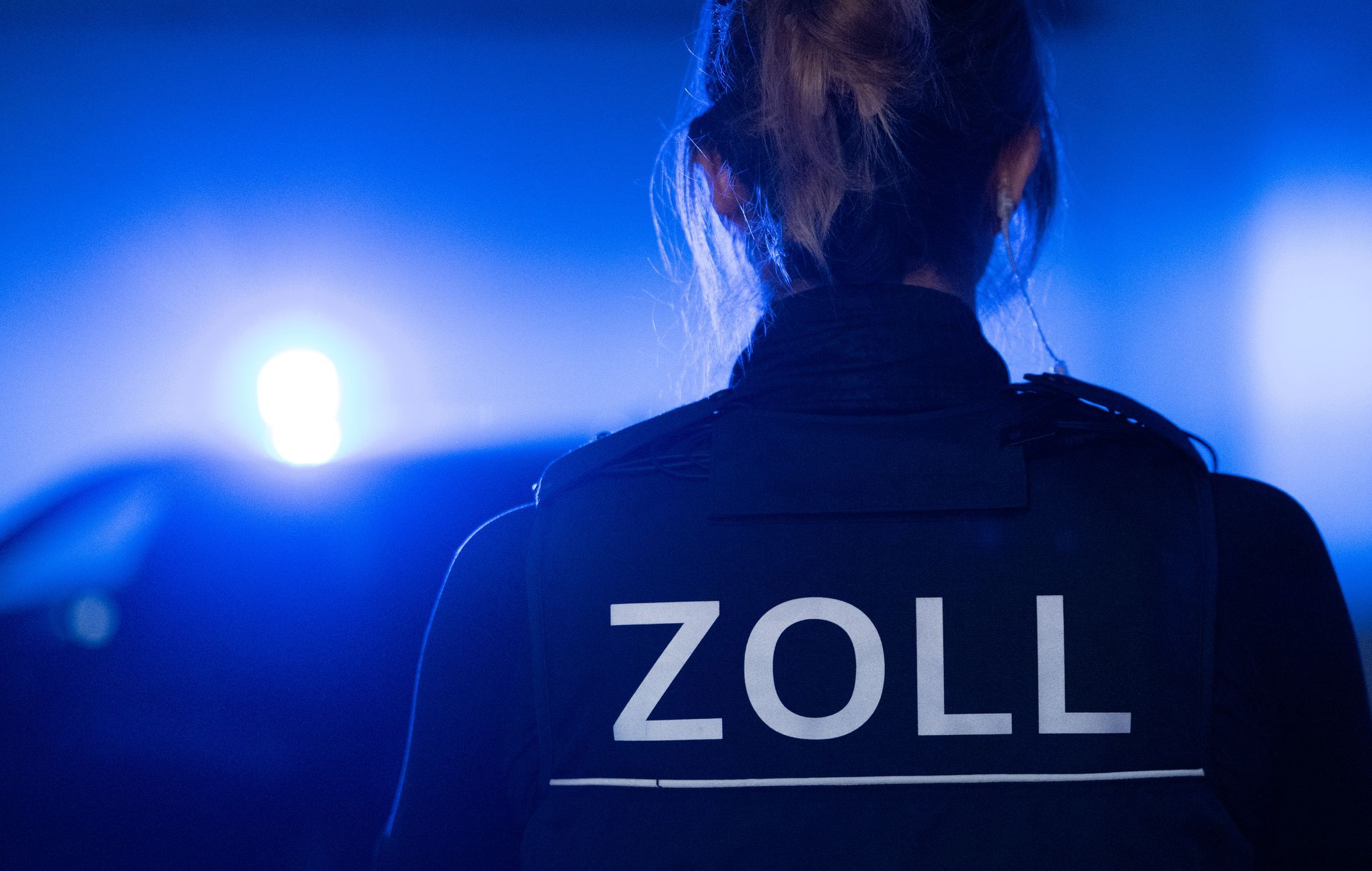 Große Cannabisplantage entdeckt