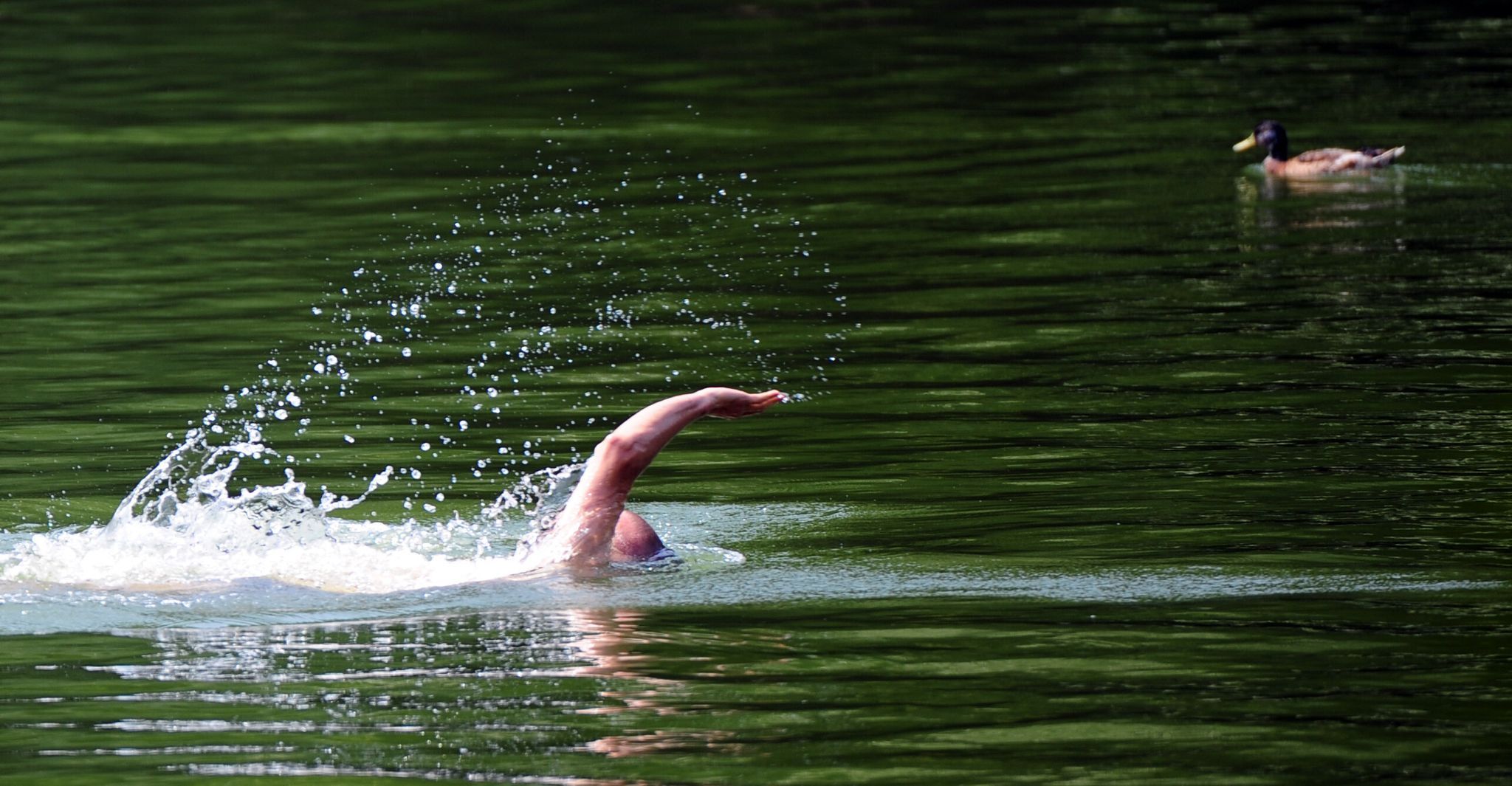 Hier kann man nach dem Hochsommer noch draußen schwimmen
