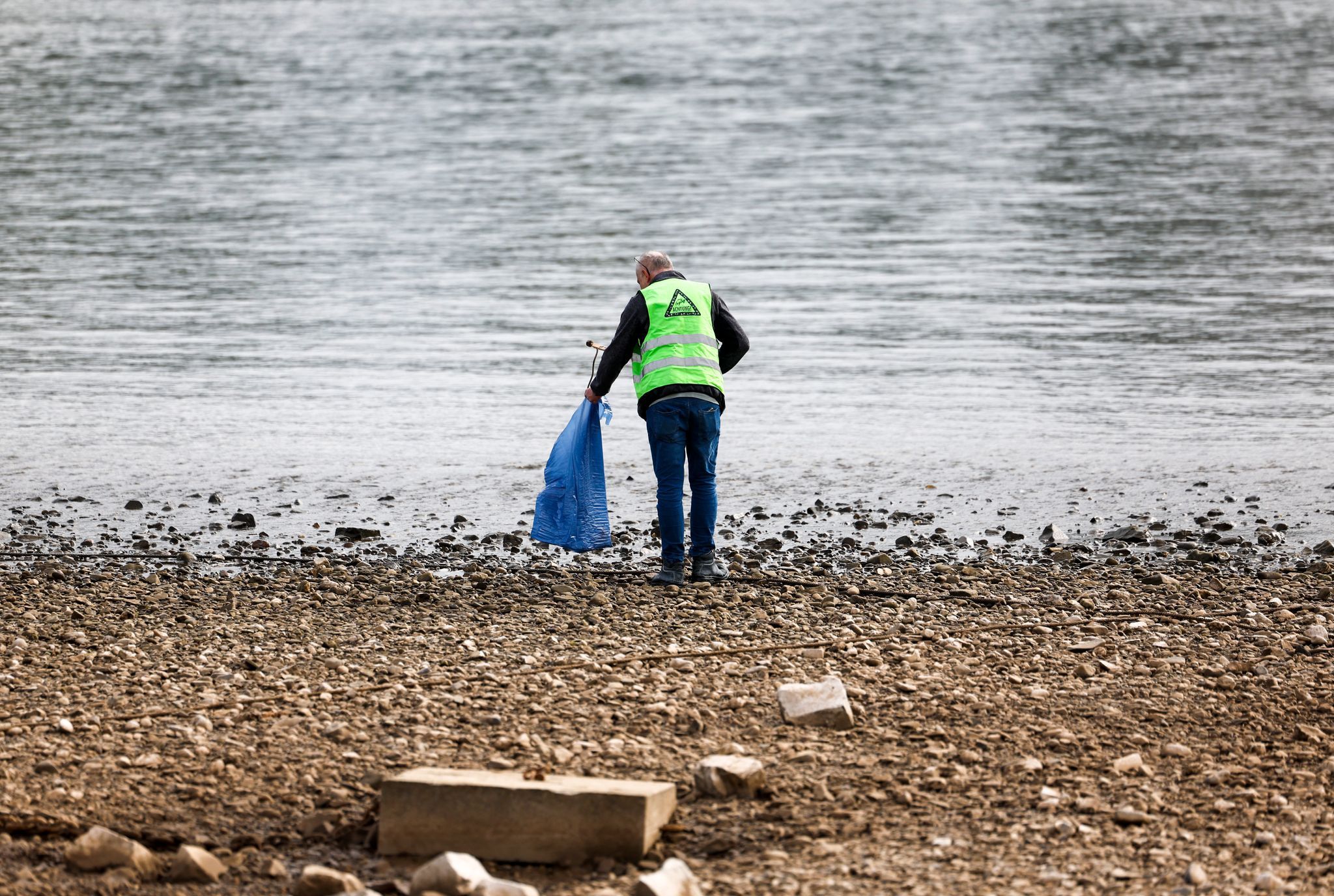 Freiwillige befreien bei «Rhine Clean Up» Flussufer von Müll