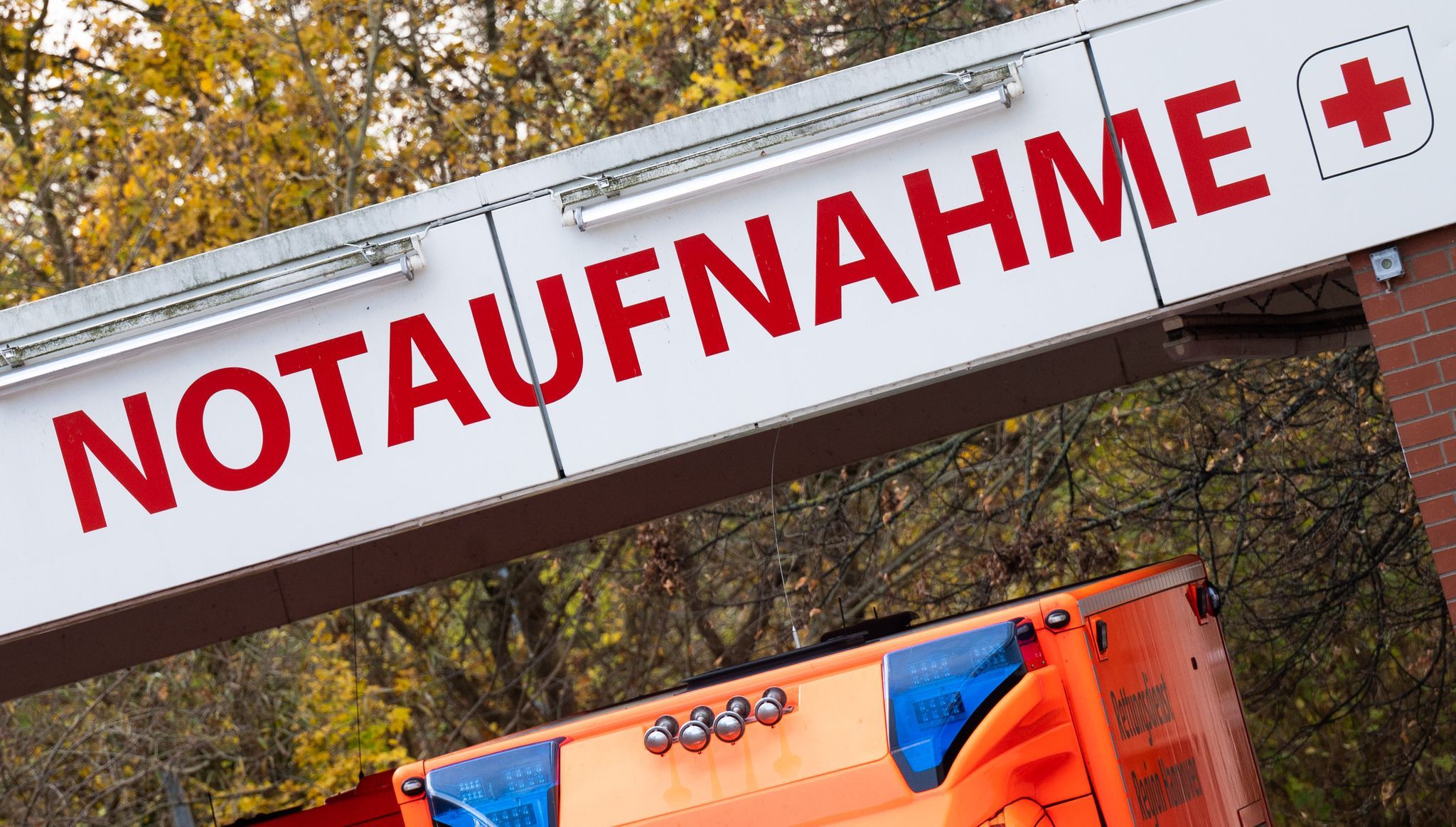 Hitzetote: Rheinland-Pfälzer künftig besser schützen