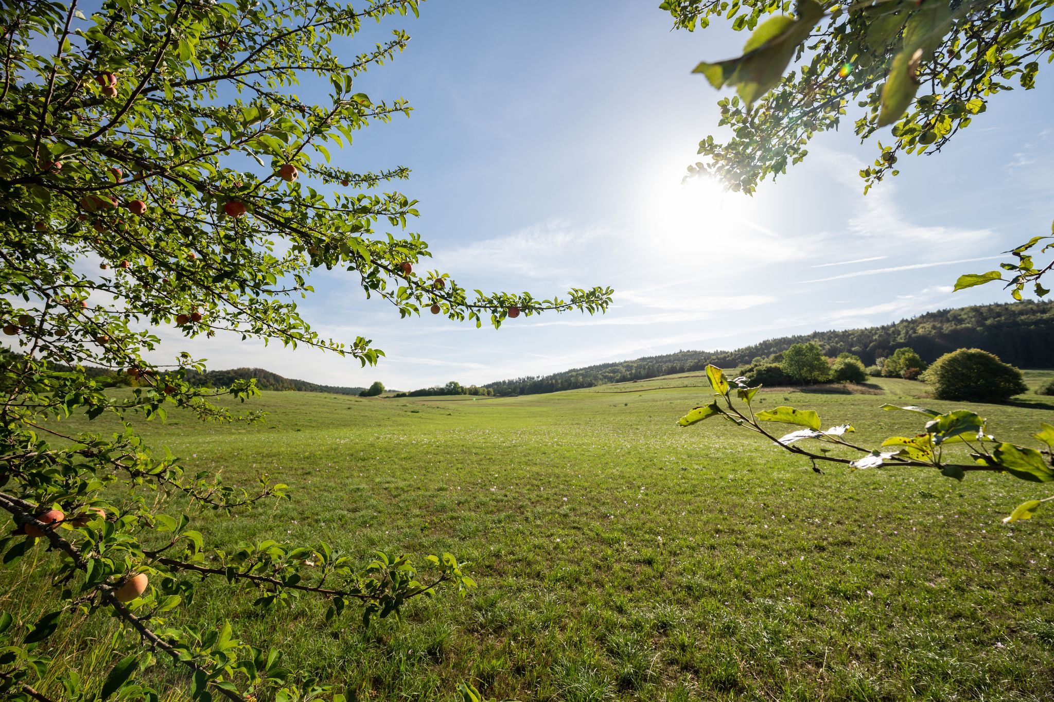 Das Wochenende wird sommerlich - bis 28 Grad
