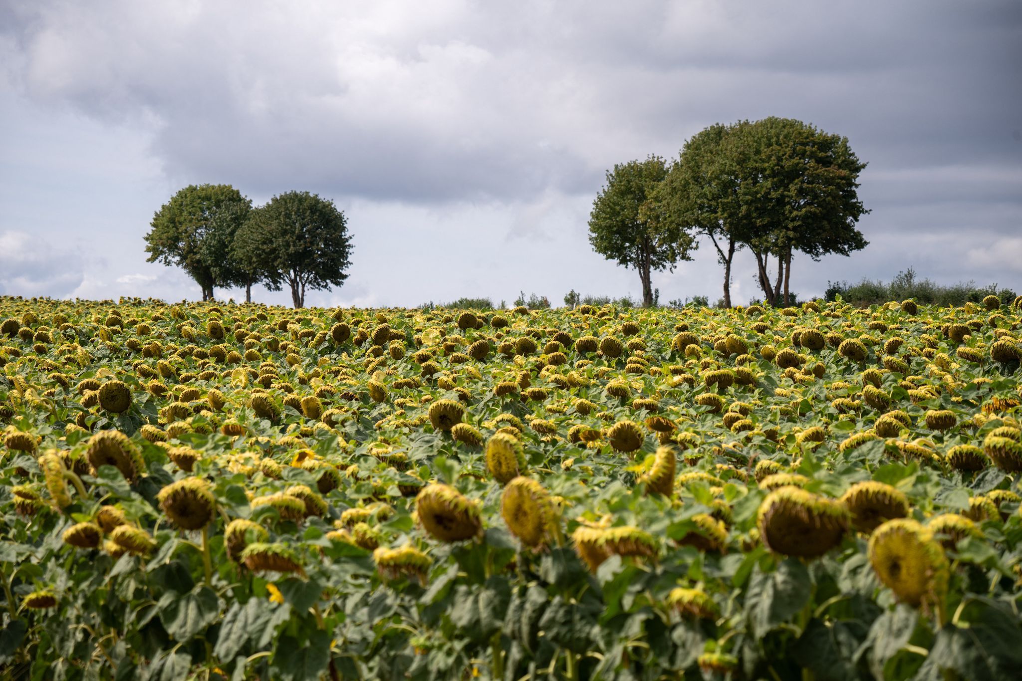 Viele Wolken bei sommerlichen Temperaturen