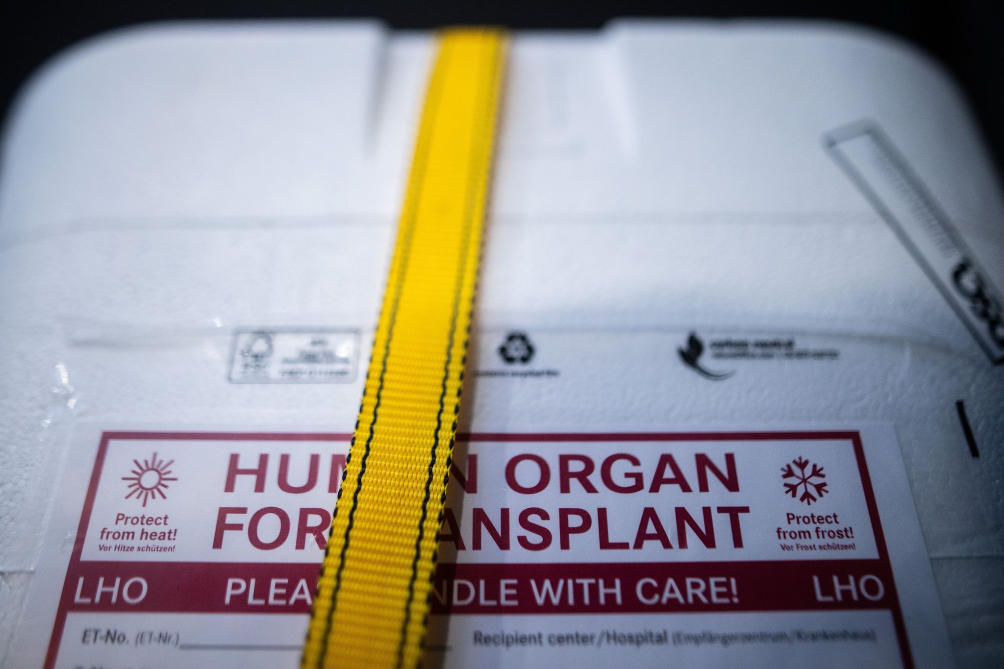 Etwas mehr Organspender in Rheinland-Pfalz