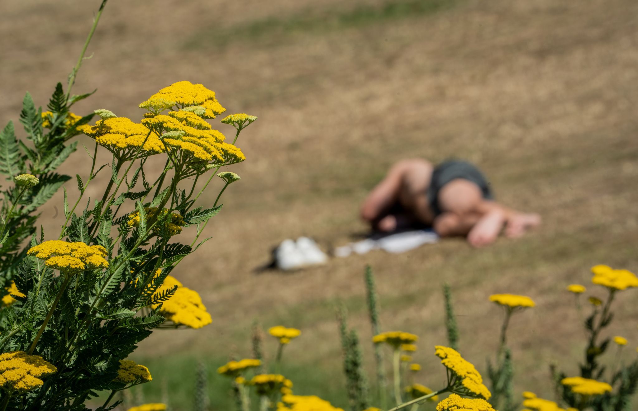 Der Hochsommer kommt kurz zurück