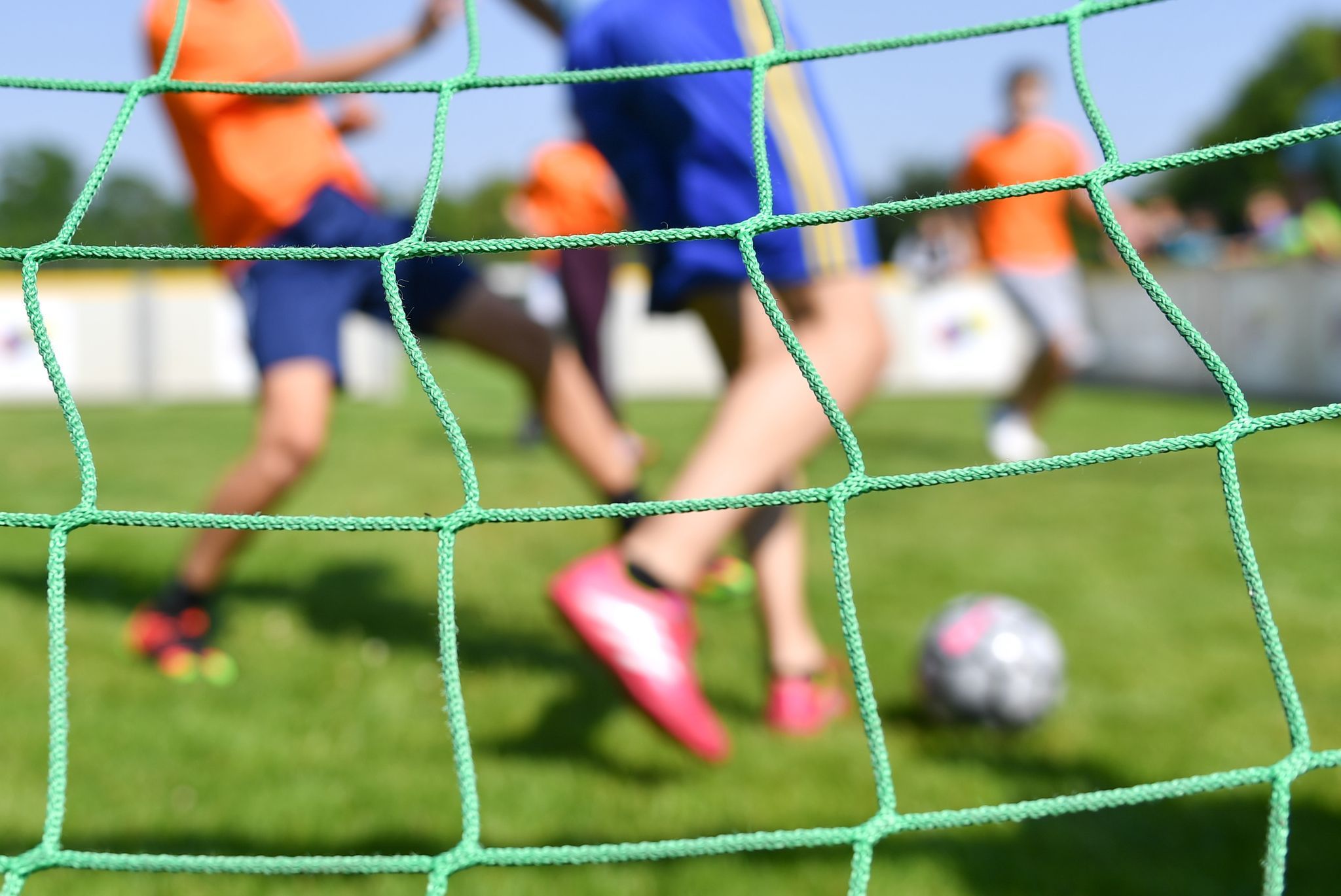 Immer mehr Mitglieder in Sportvereinen