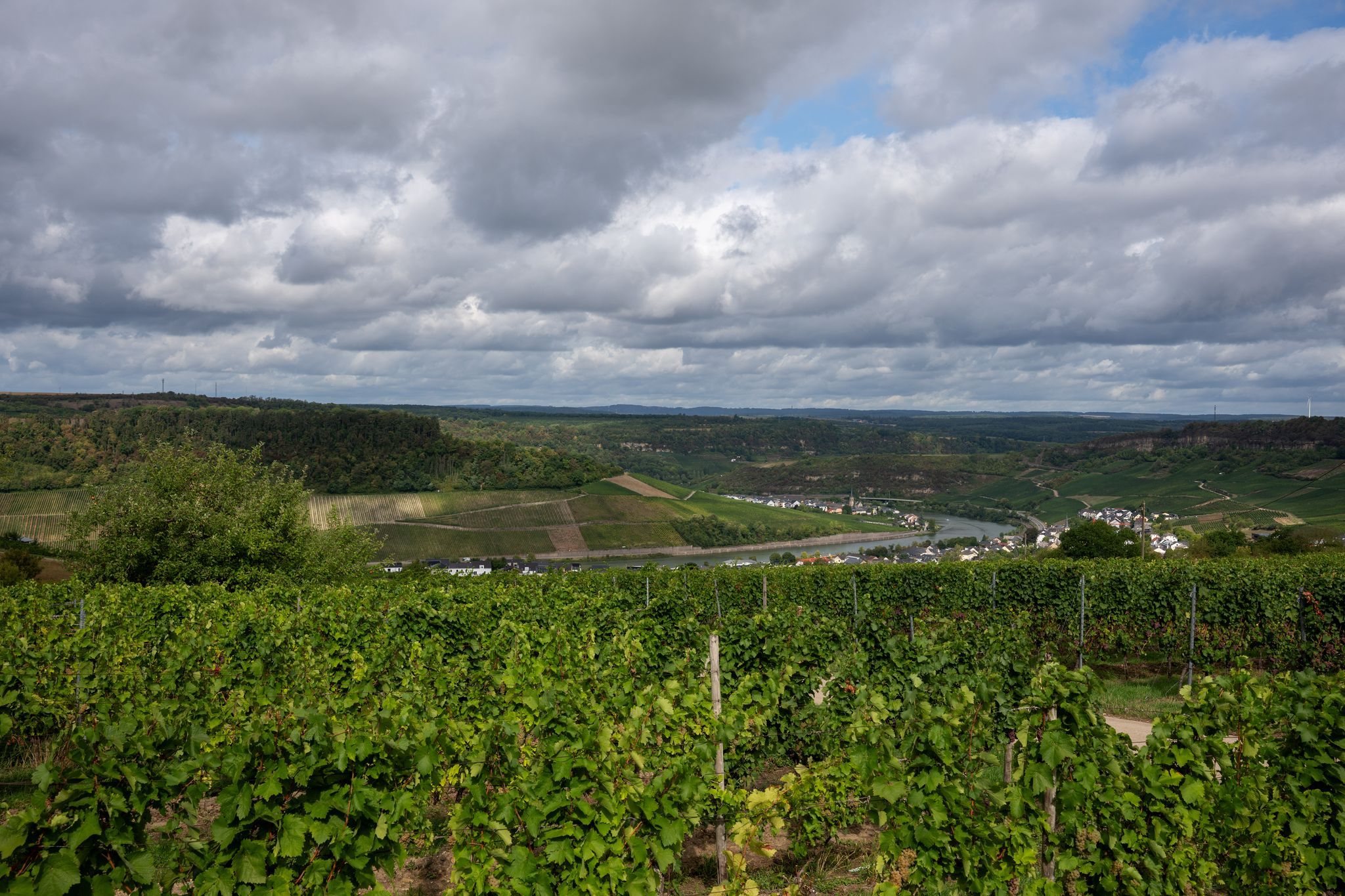 Bis zu 29 Grad: Spätsommer in RLP und im Saarland Bis zu 29 Grad: Spätsommer in RLP und im Saarland