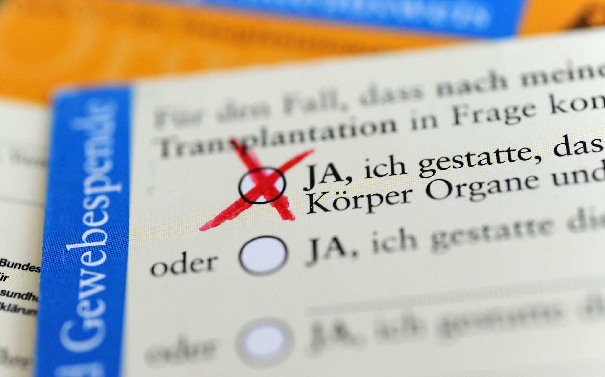 Debatte schon vor Debatte um Organspende