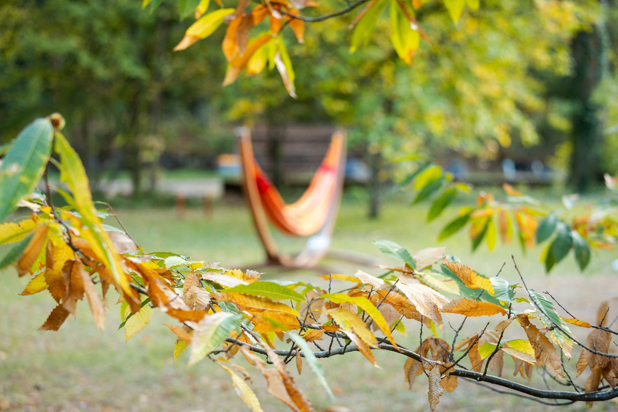 Herbstliches Wetter in Rheinland-Pfalz und im Saarland